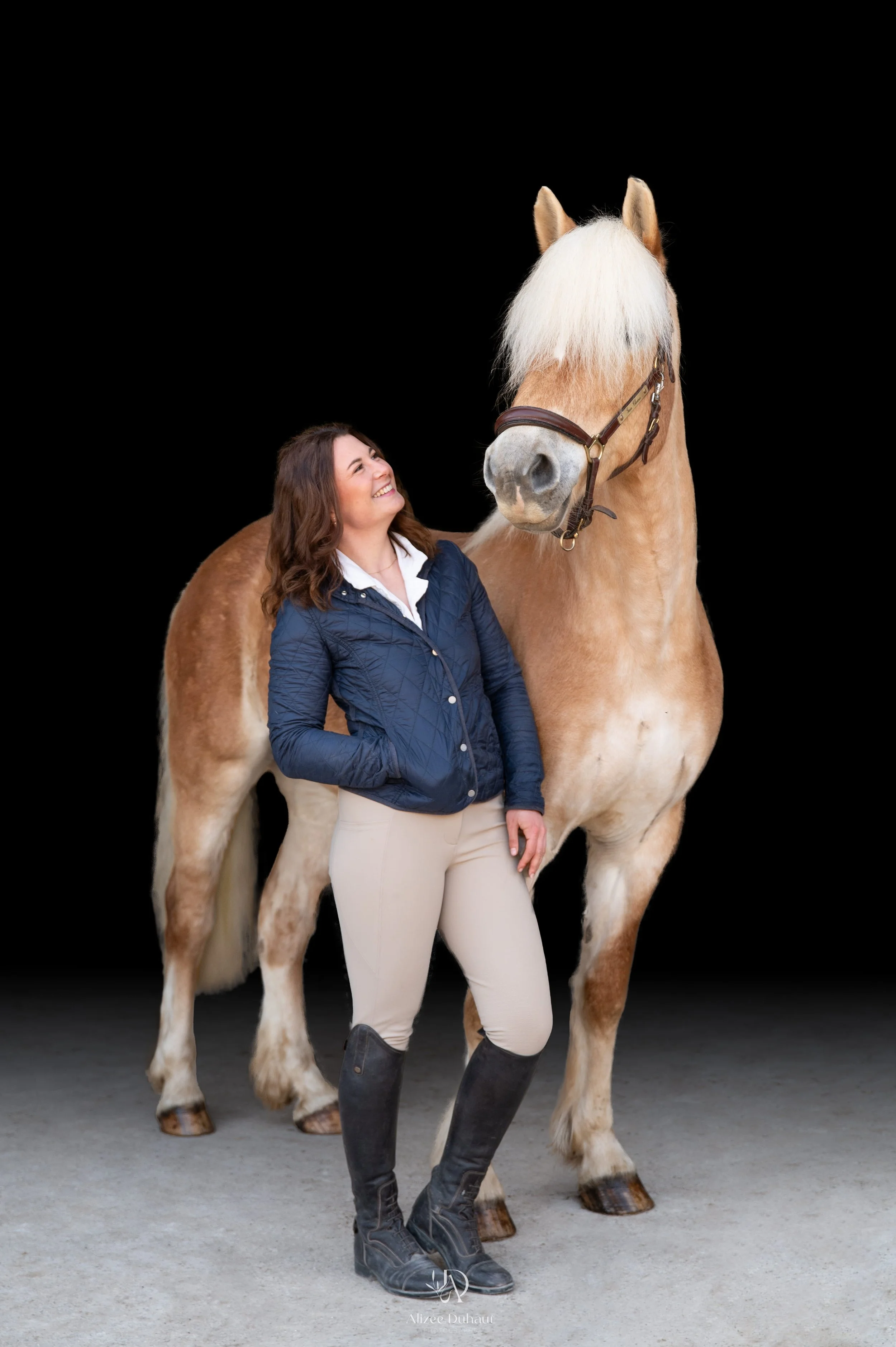 Séance photo fond noir cavalier cheval Béthune