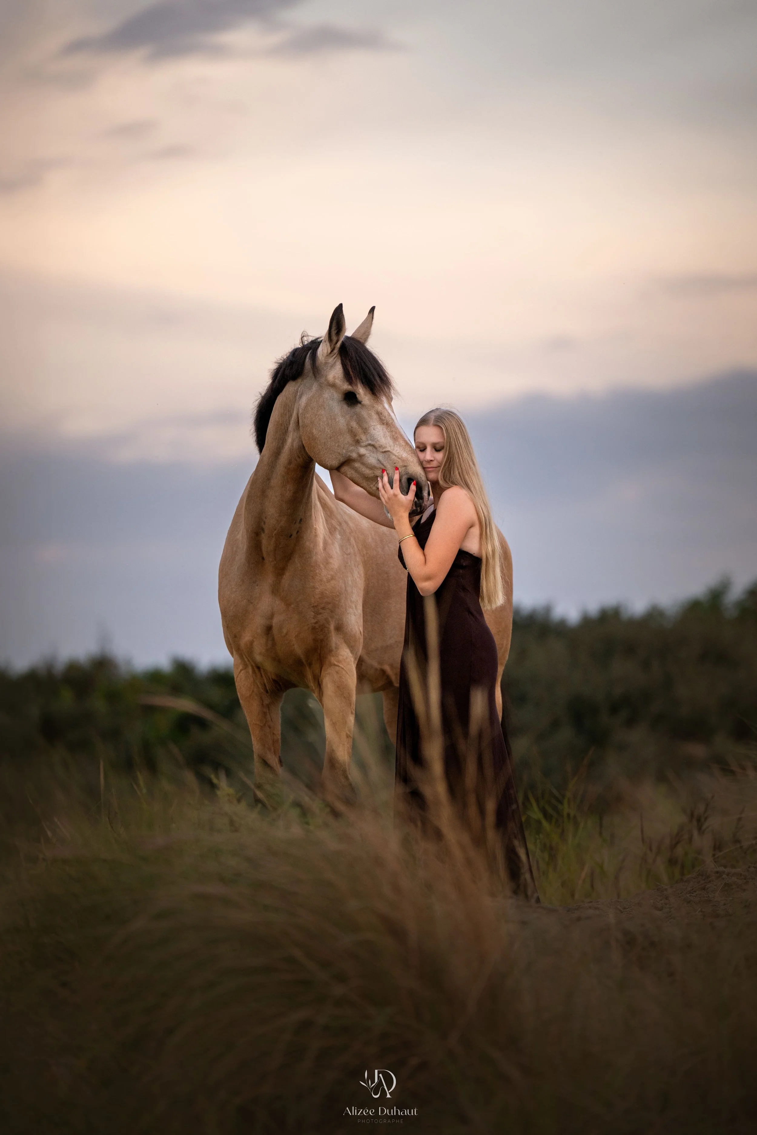 séance photo cheval émotionnelle dune, Lens