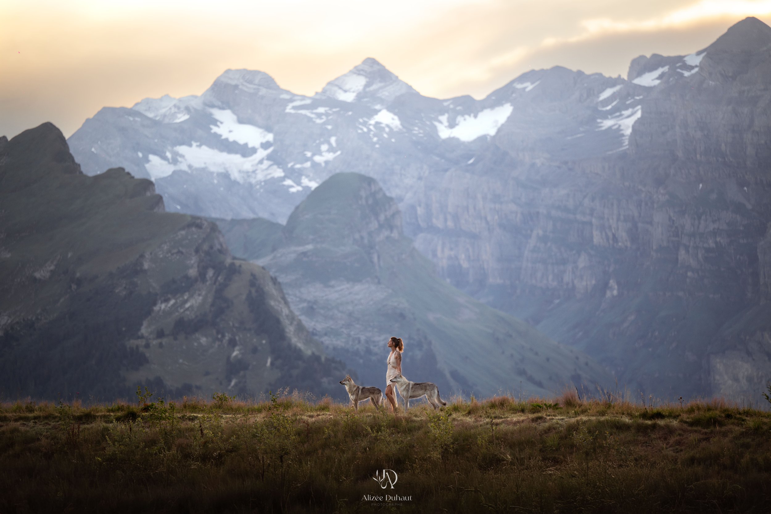 séance photo chien naturelle sans contrainte montagne 