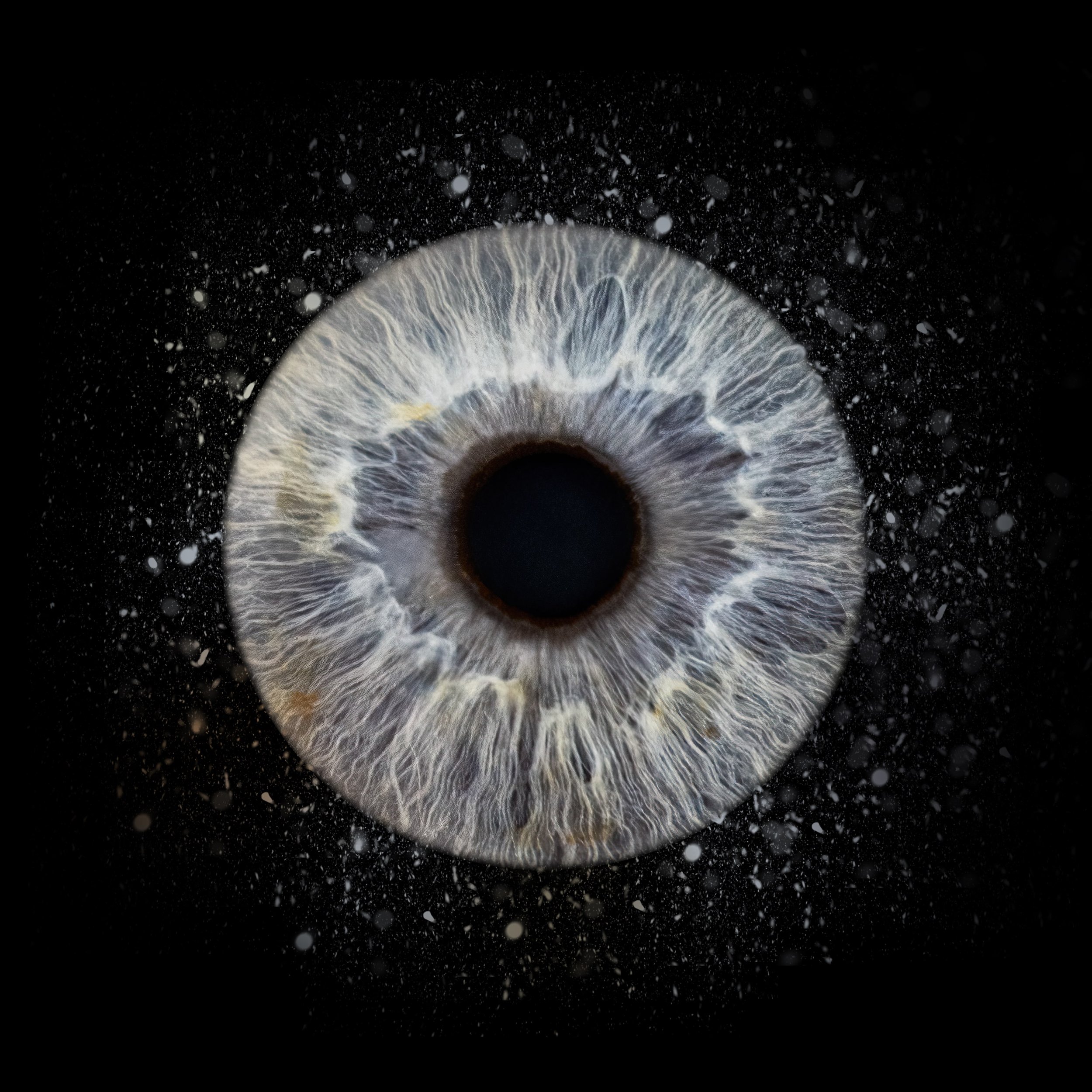 Collision neige-min.jpg