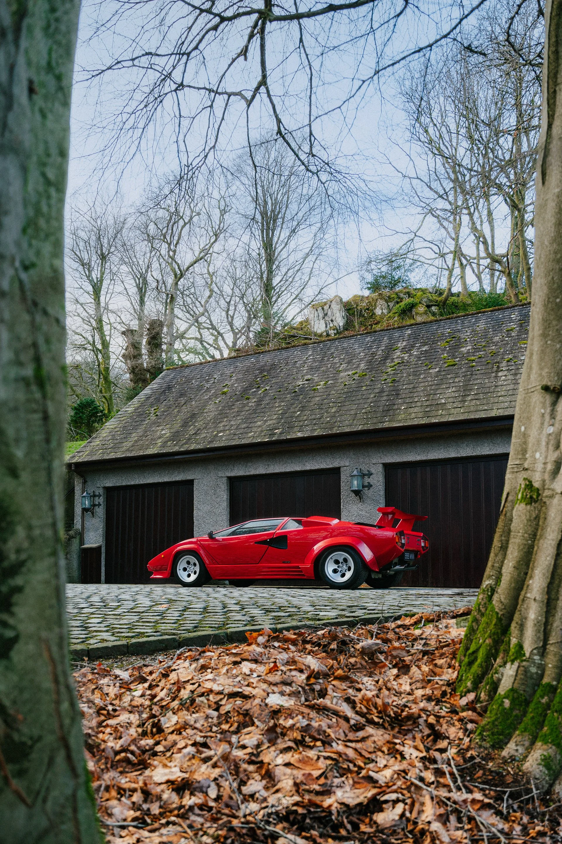 A red sports car parked in front of a garage surrounded by leafless trees and fallen autumn leaves on the ground.