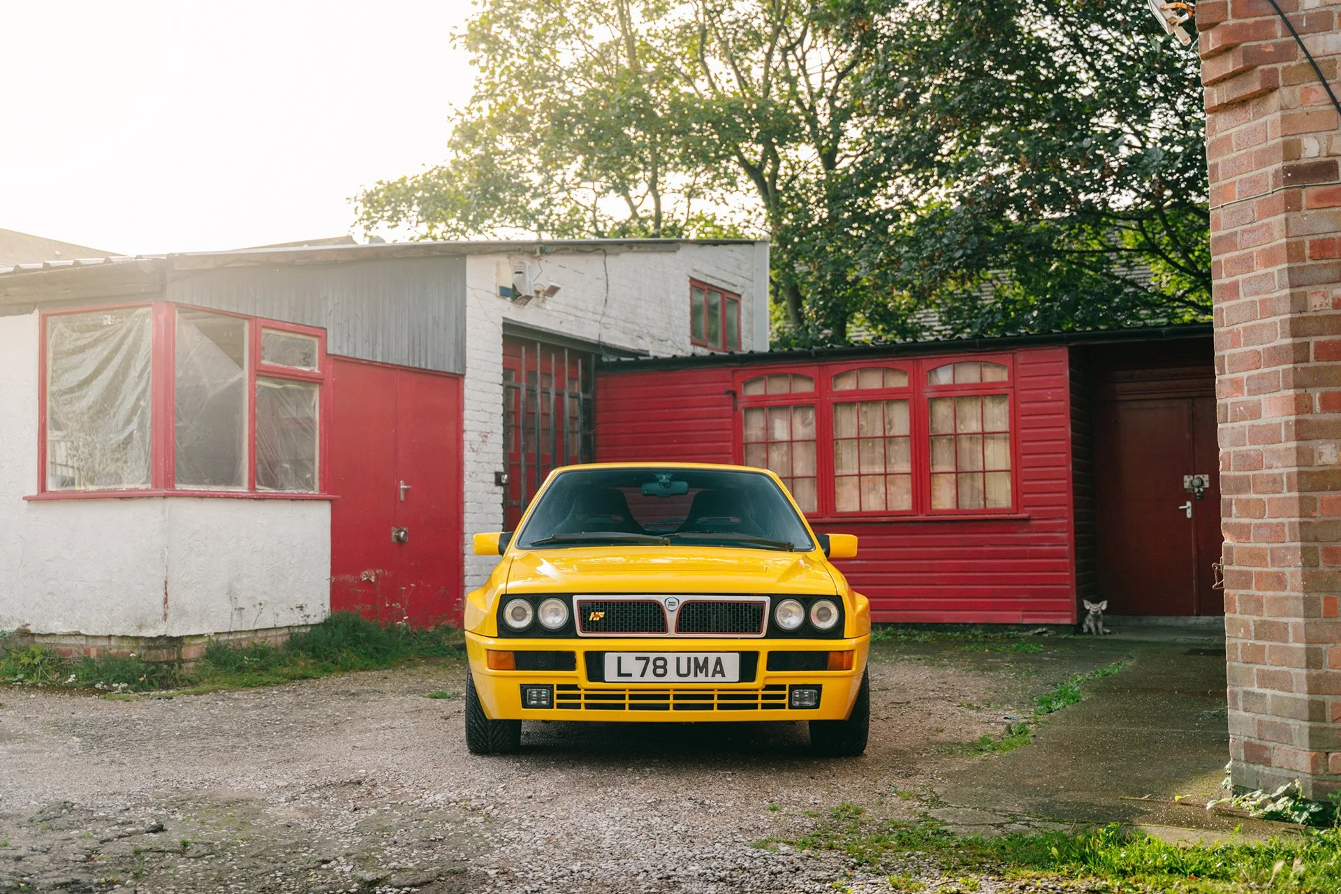A yellow vintage car parked in a courtyard with old buildings featuring red and white painted walls and windows, with a small dog sitting by a red door in the background, and trees in the distance.