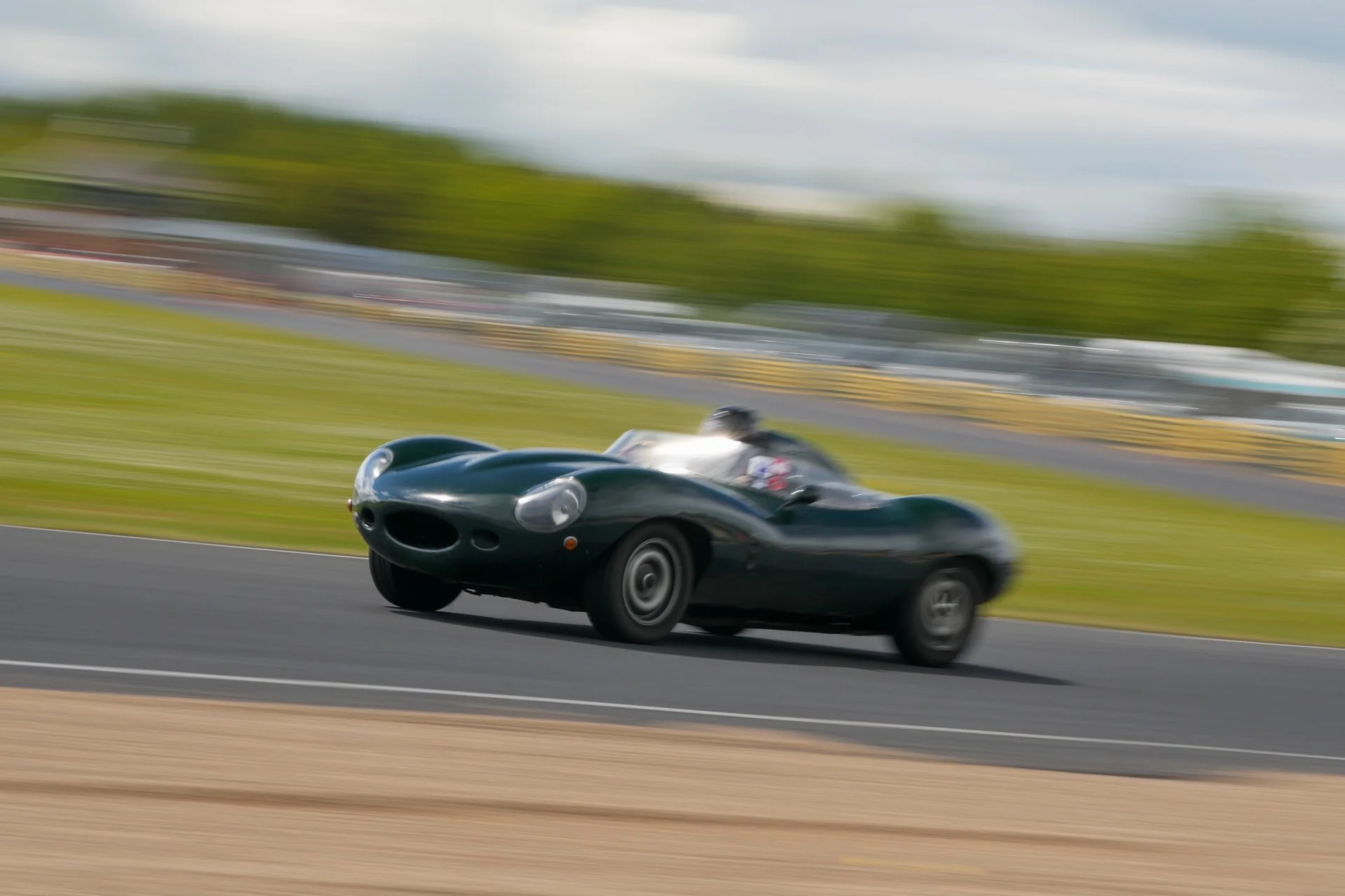 DSC09954.jpg