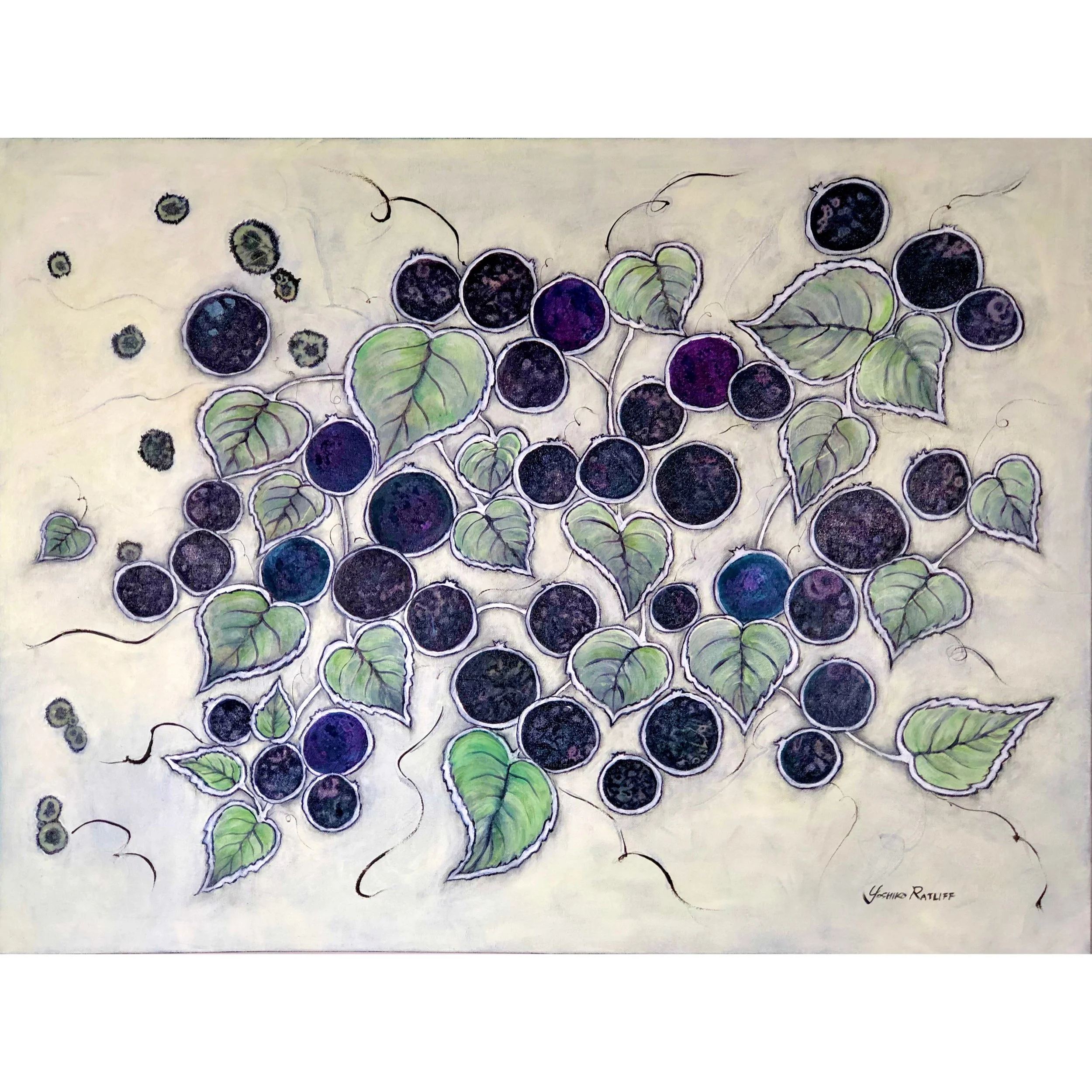 Blueberries