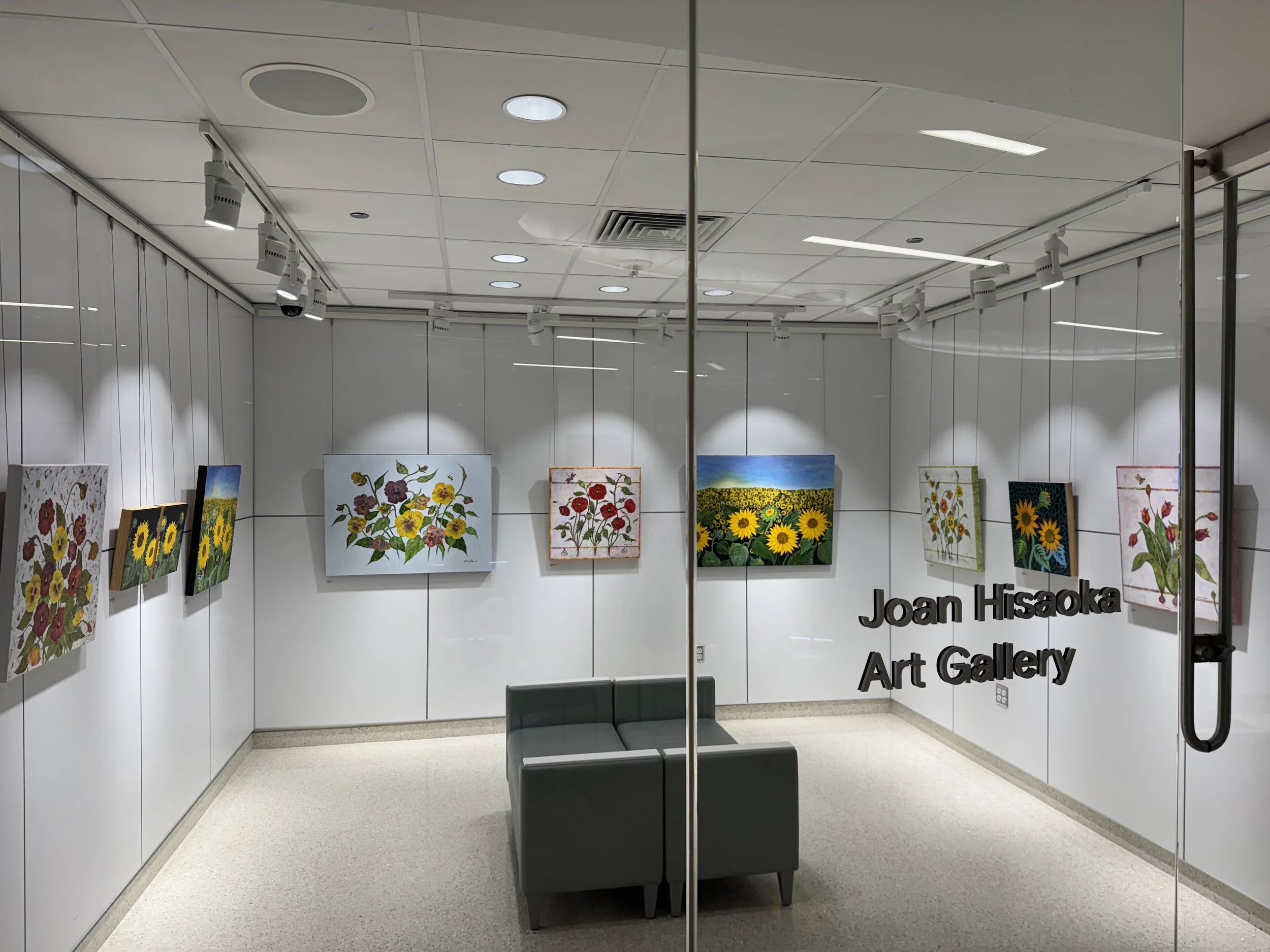 Solo Exhibition “Roots of Resilience”