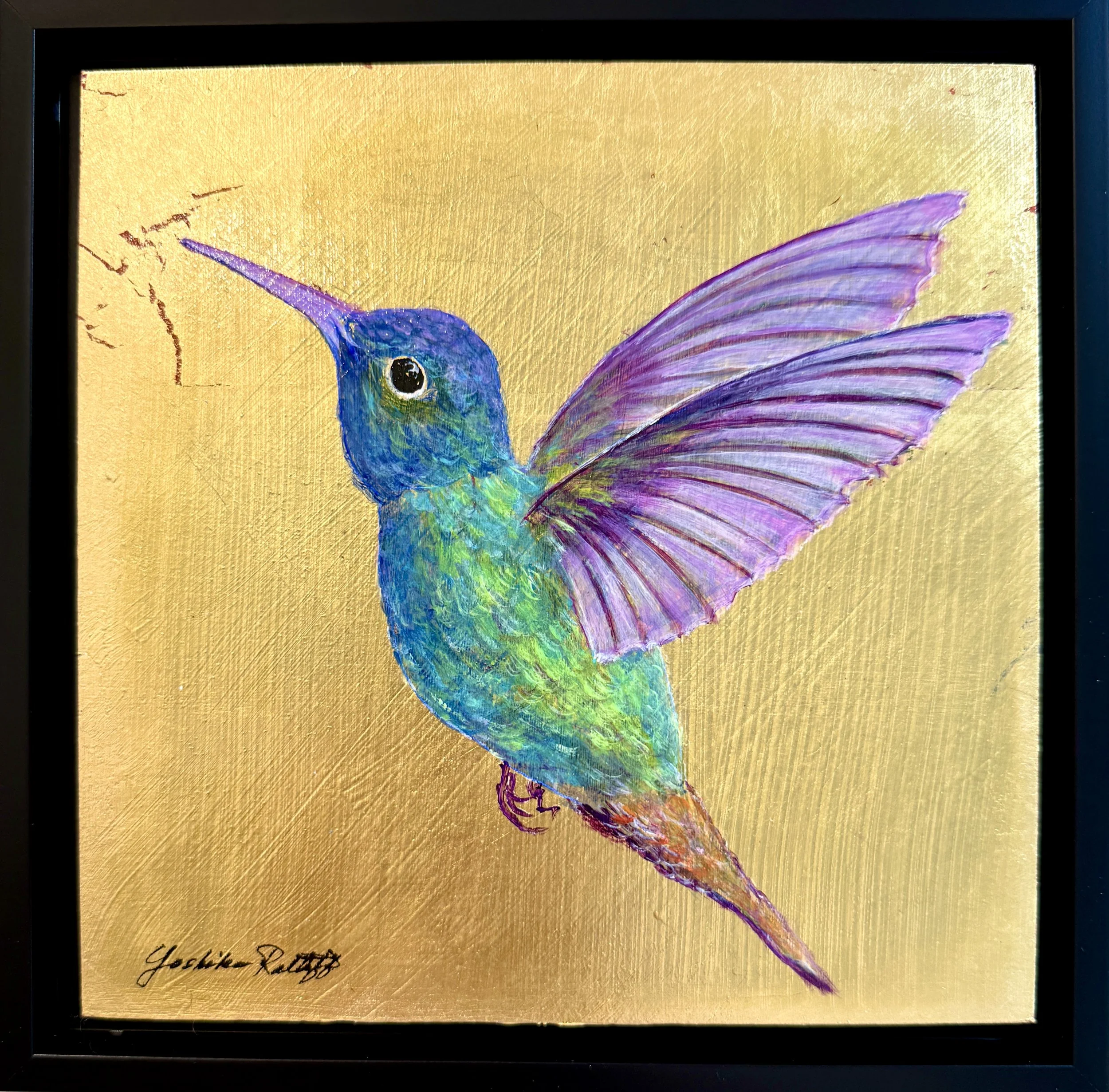 Hammingbird #1.JPG
