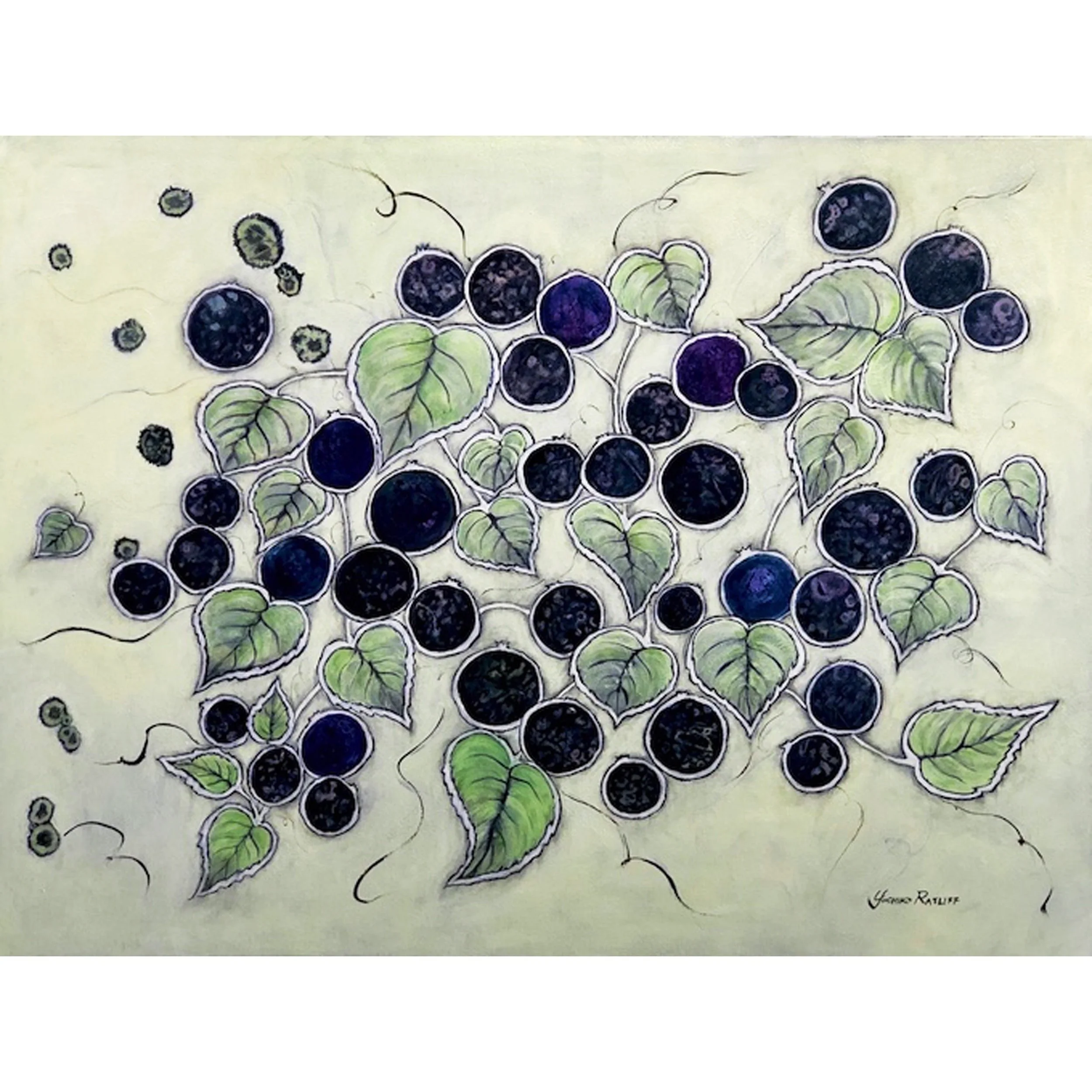 Blueberries