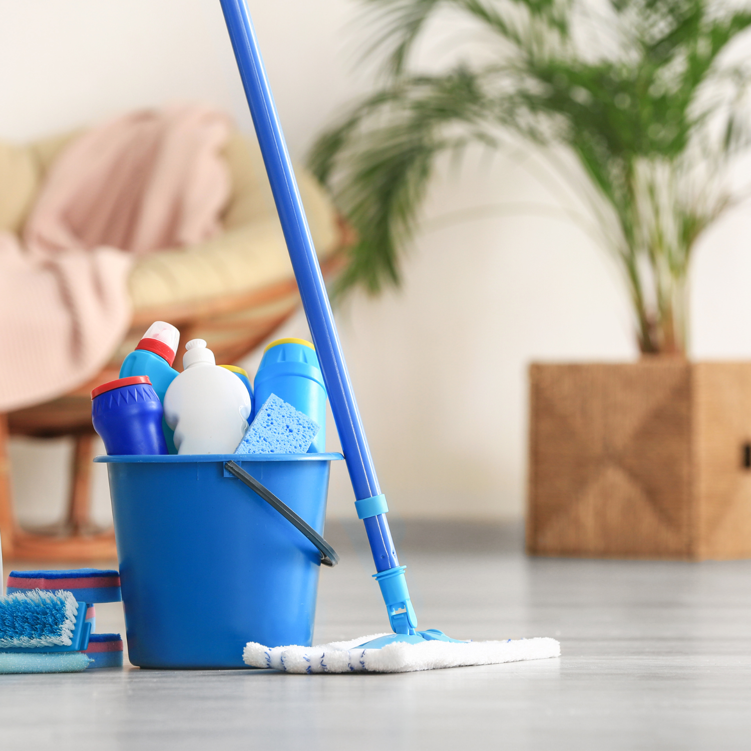 Cleaning supplies including a bucket, mop, brushes, sponges, and cleaning bottles on a floor with a plant in the background.
