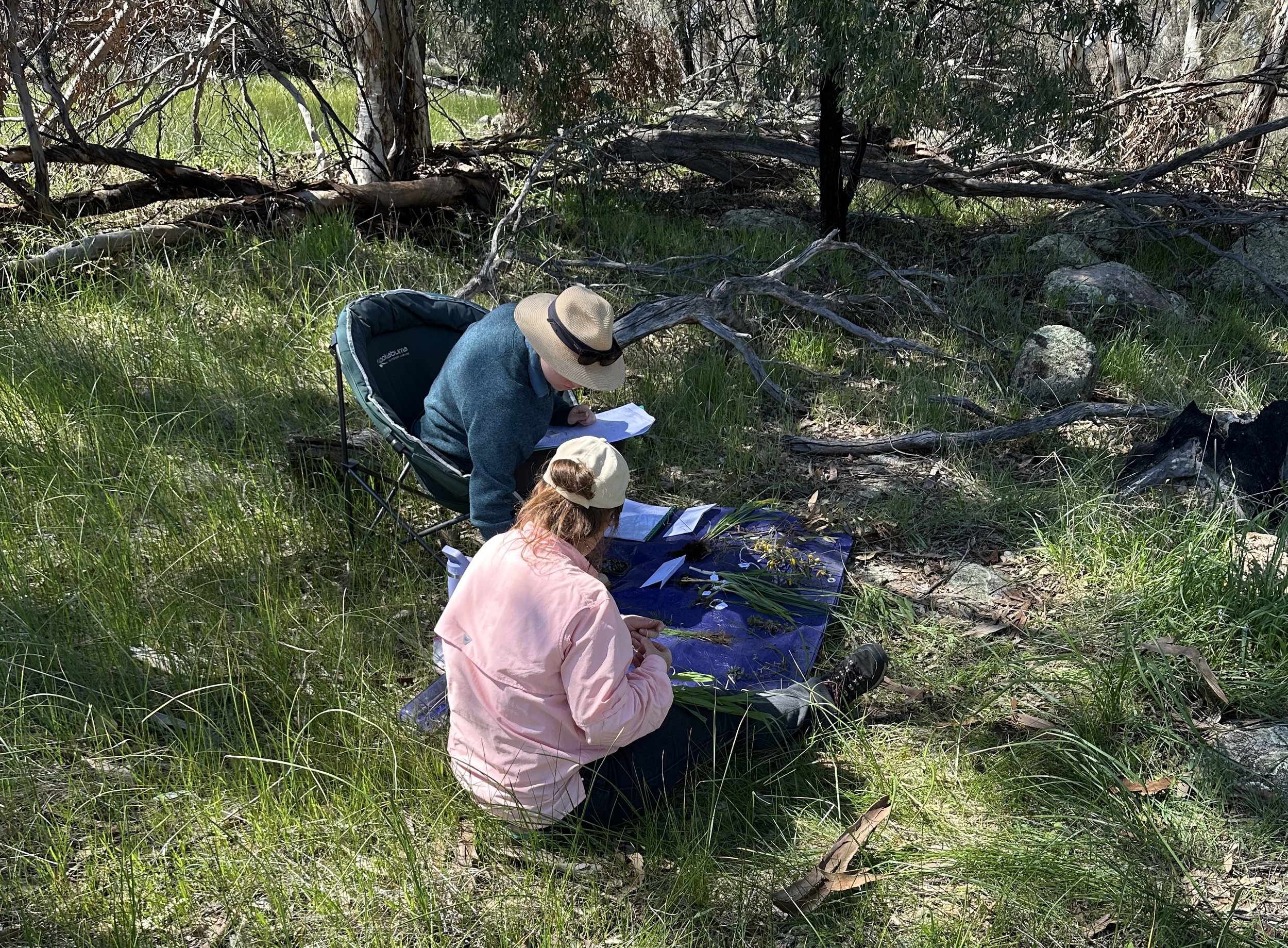 Tracking Habitat Health: Baseline Surveys Underway Across the Wheatbelt