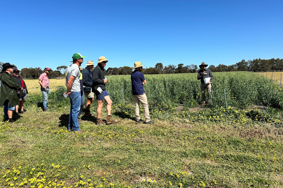 Access to Environmental Markets Workshop