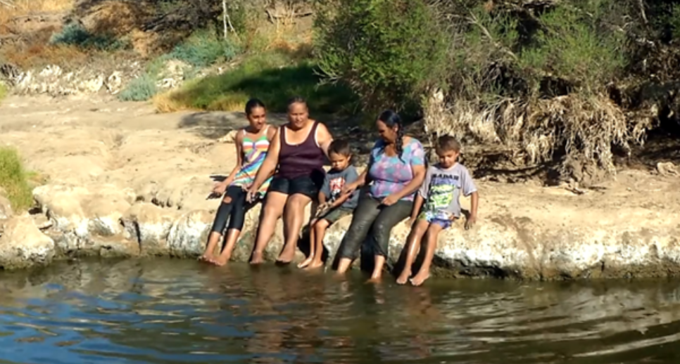 Where Water Holds Memory: Appreciating Our Wetlands&nbsp;