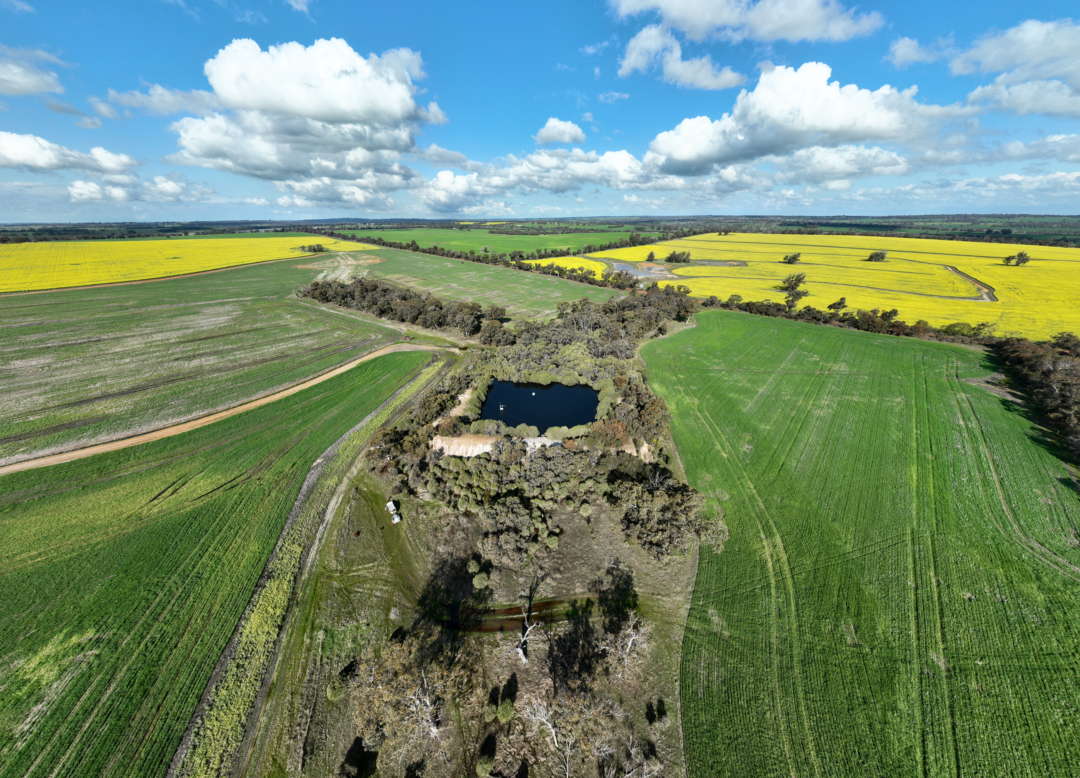 How the Ripple Effect is Transforming Farm Water Management