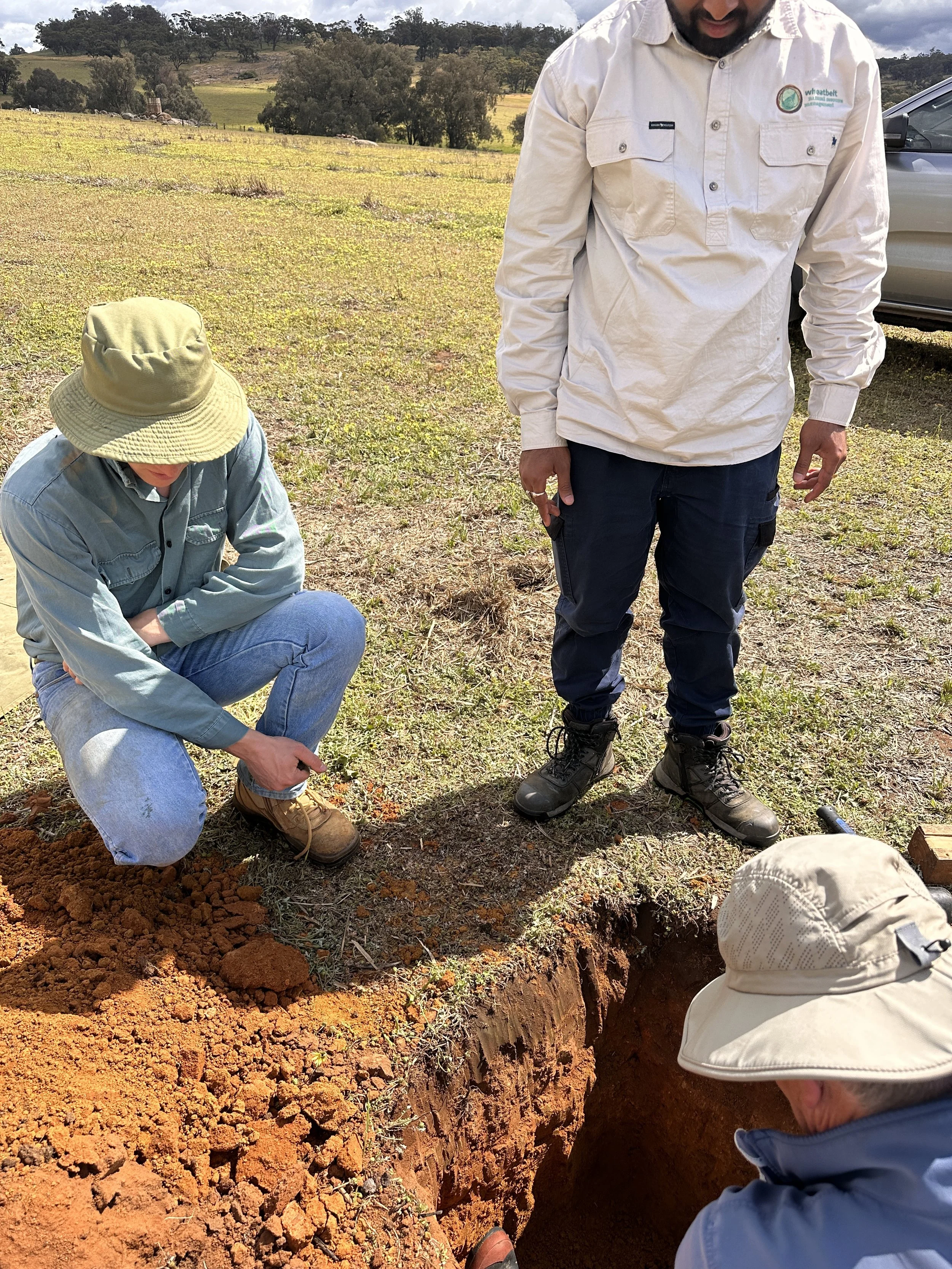 Unlocking Soil Nutrients Through Organic Materials
