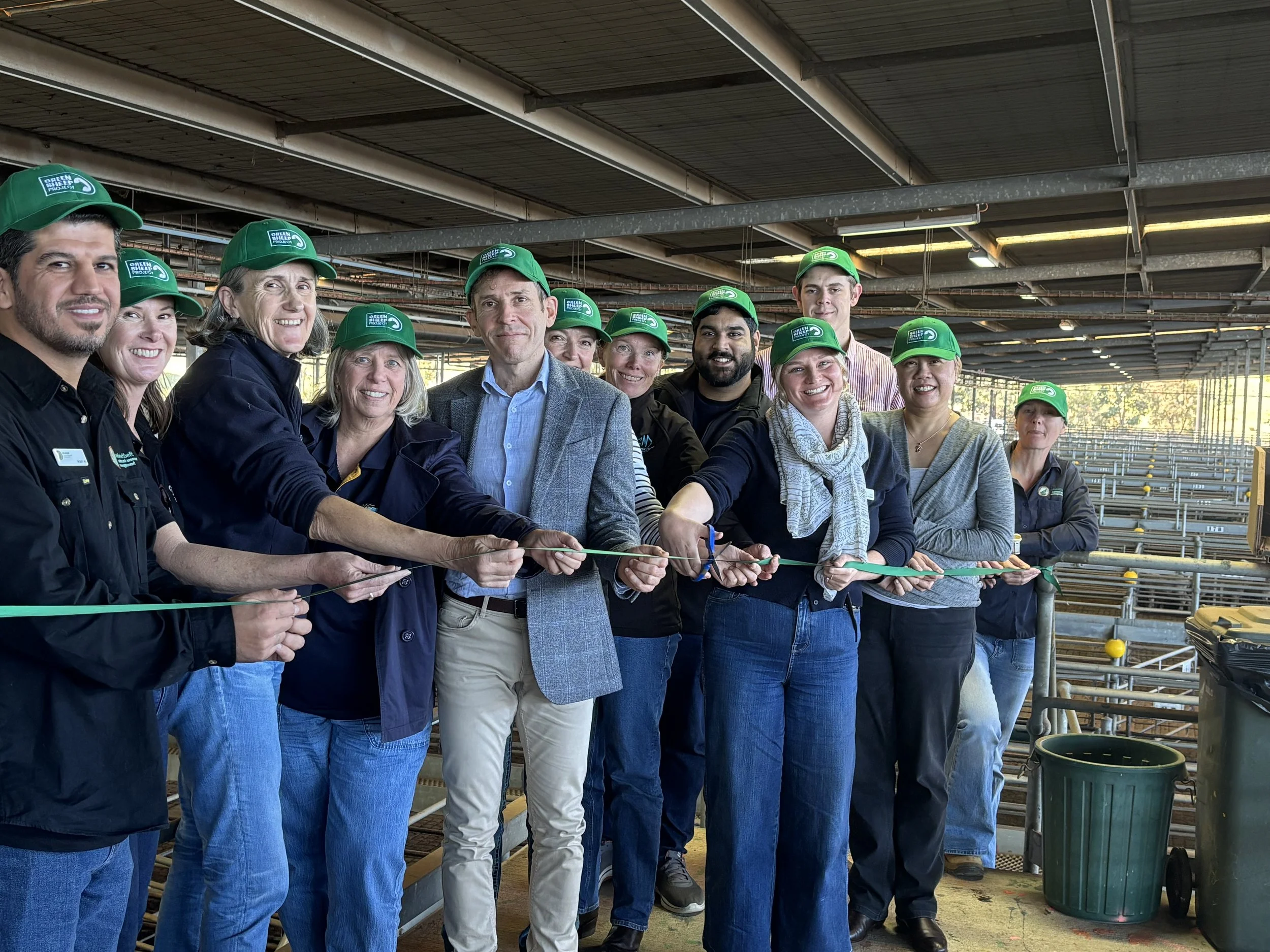 Green Sheep Project Launched Nationally