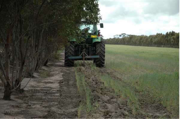 Could Wheatbelt crop residues become tomorrow’s low-carbon, sovereign fuels?