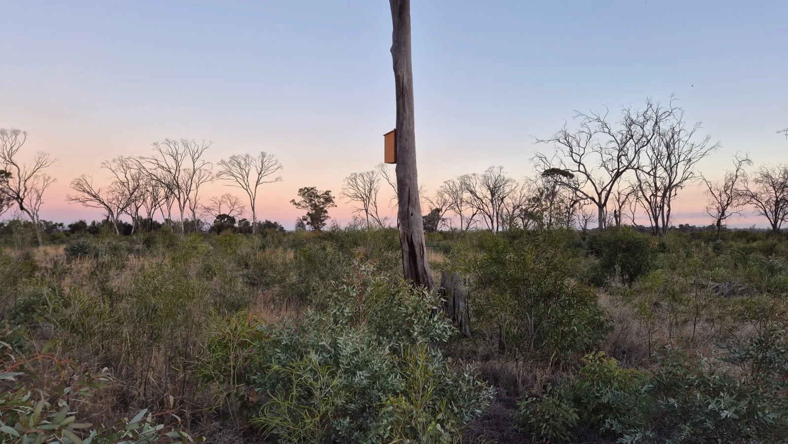 Forage for Nature is Improving Farm Productivity and Biodiversity 