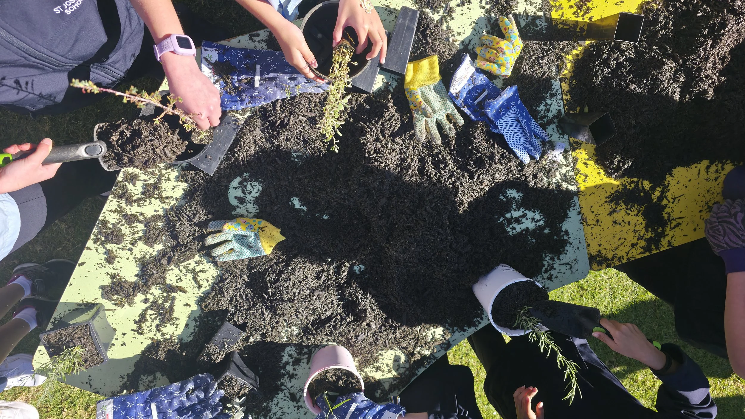 Celebrating National Tree Day with St Joseph’s Primary School