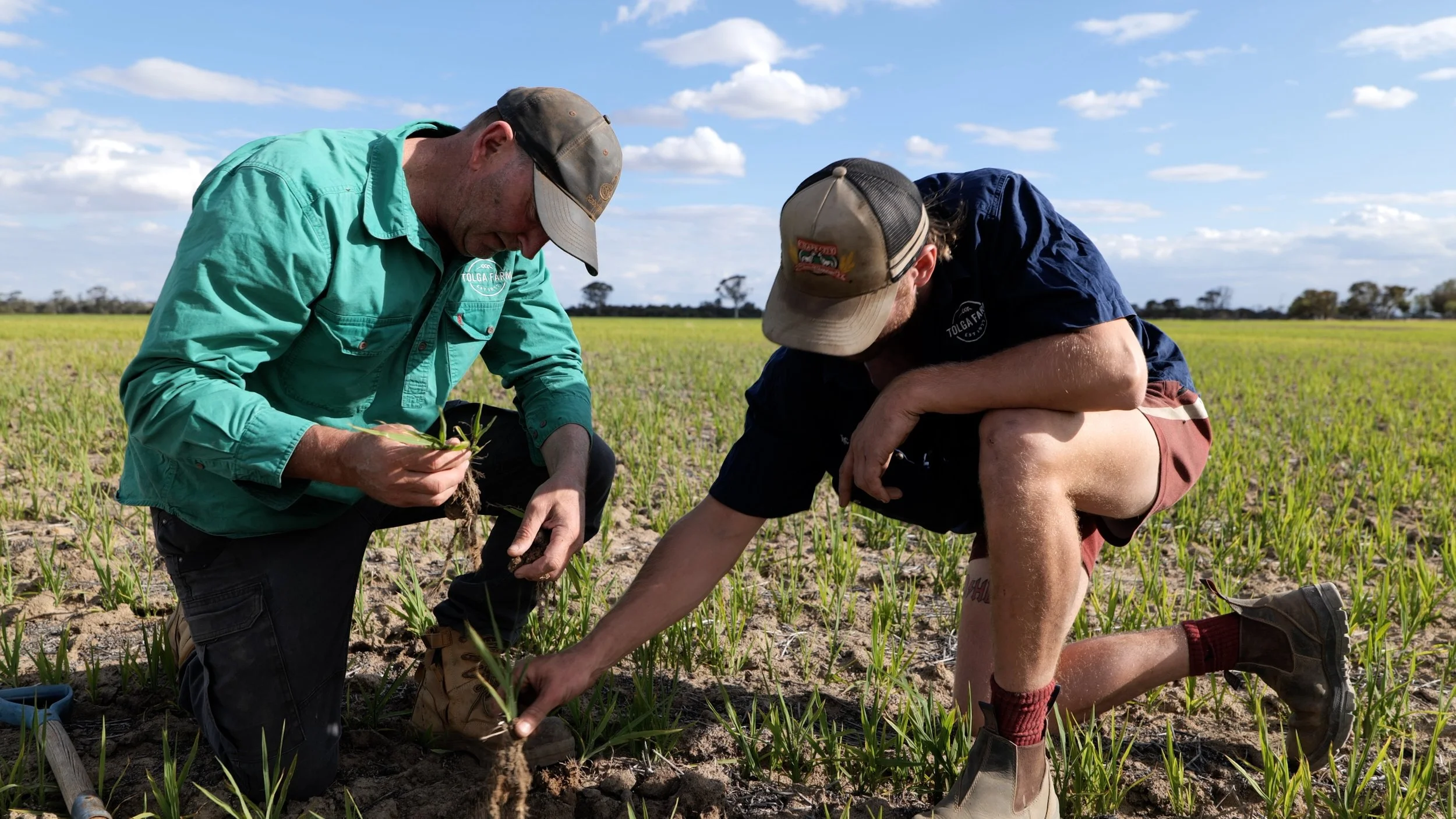 How Are Landholders Regenerating the Gabby Quoi Quoi Catchment?