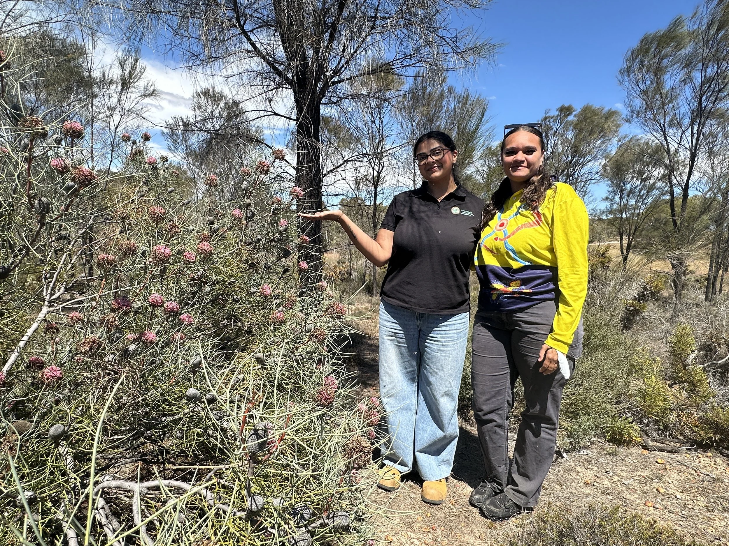 How Are We Supporting the Stewards of the Wheatbelt Bushlands?