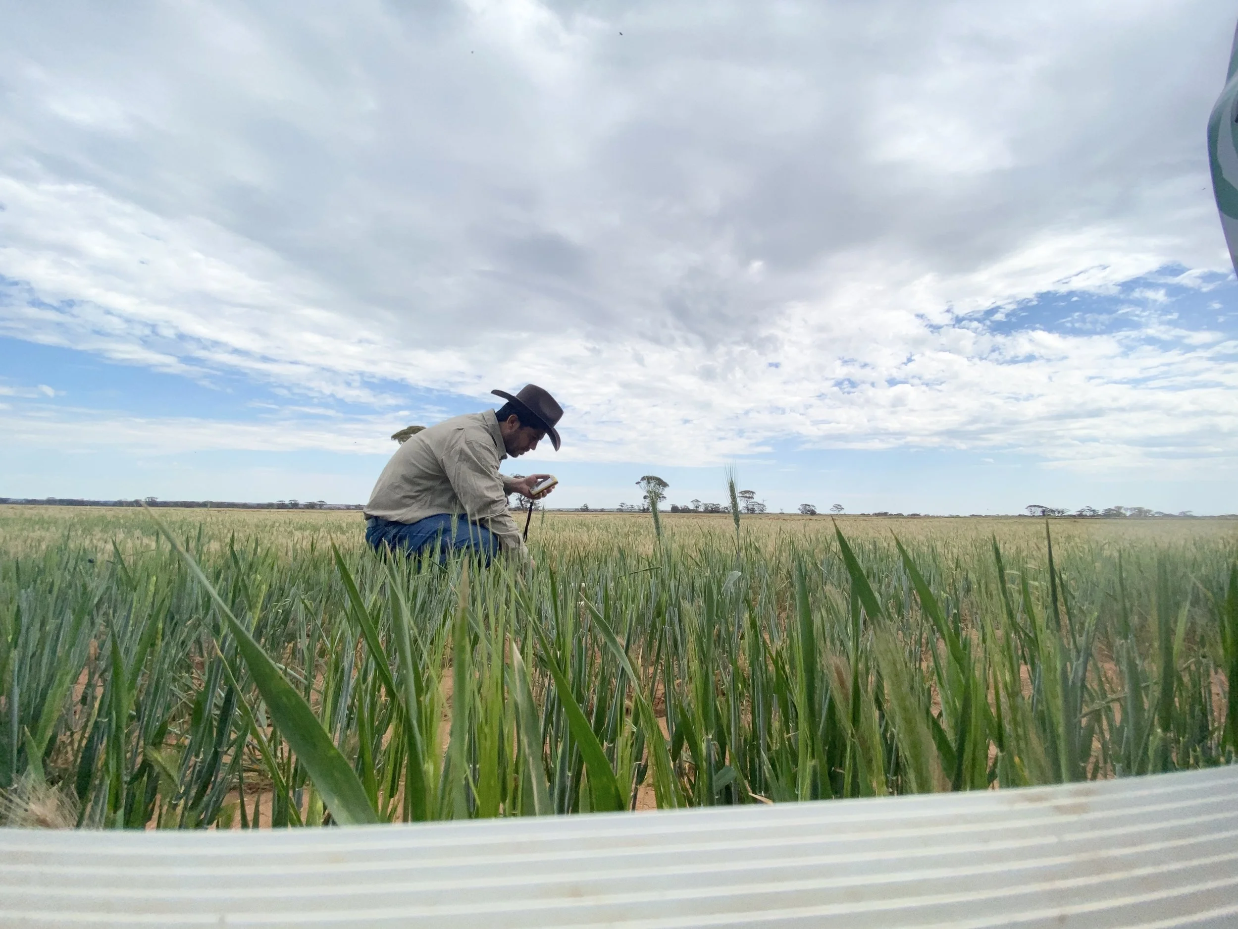 Green Sheep Project Field Monitoring is Underway!
