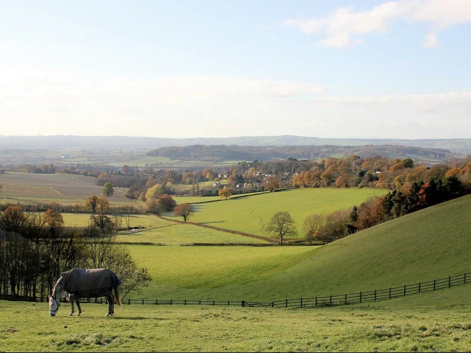 Scenic view of rolling green hills with scattered trees, a horse grazing in the foreground, and distant farmland under a partly cloudy sky in the countryside.