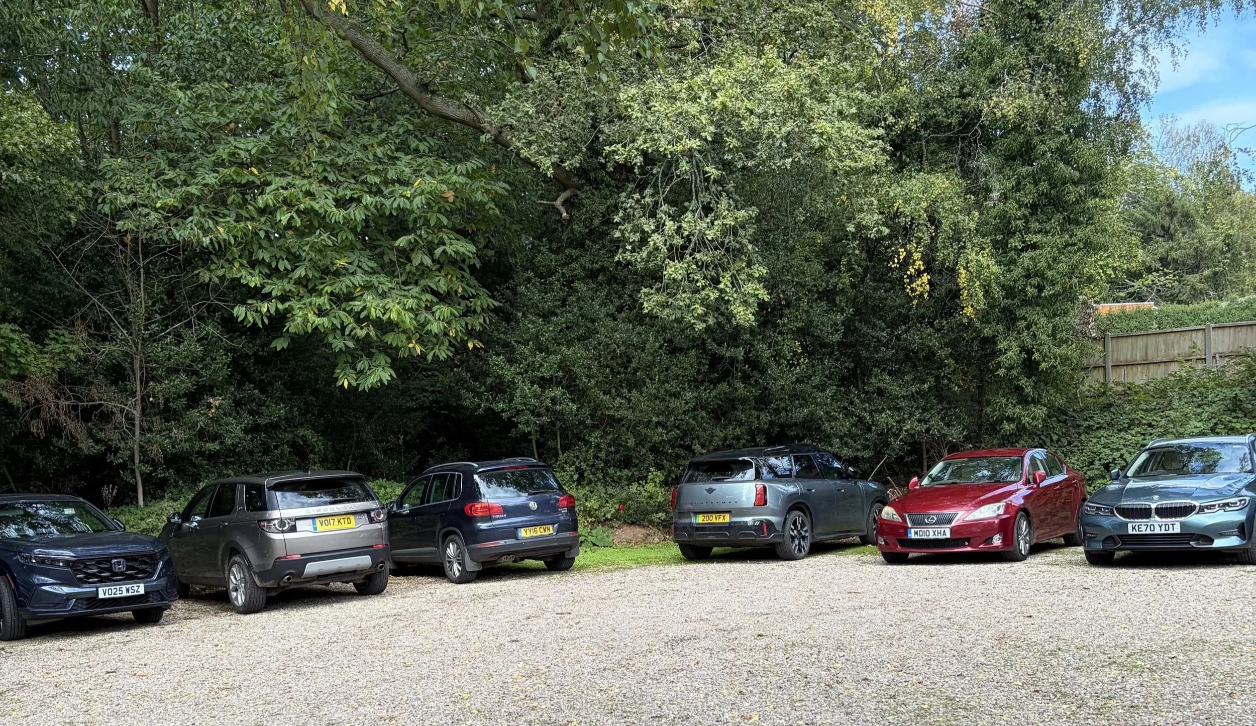 A parking lot with several cars parked in front of a dense area of tall green trees and bushes, and a wooden fence in the background.
