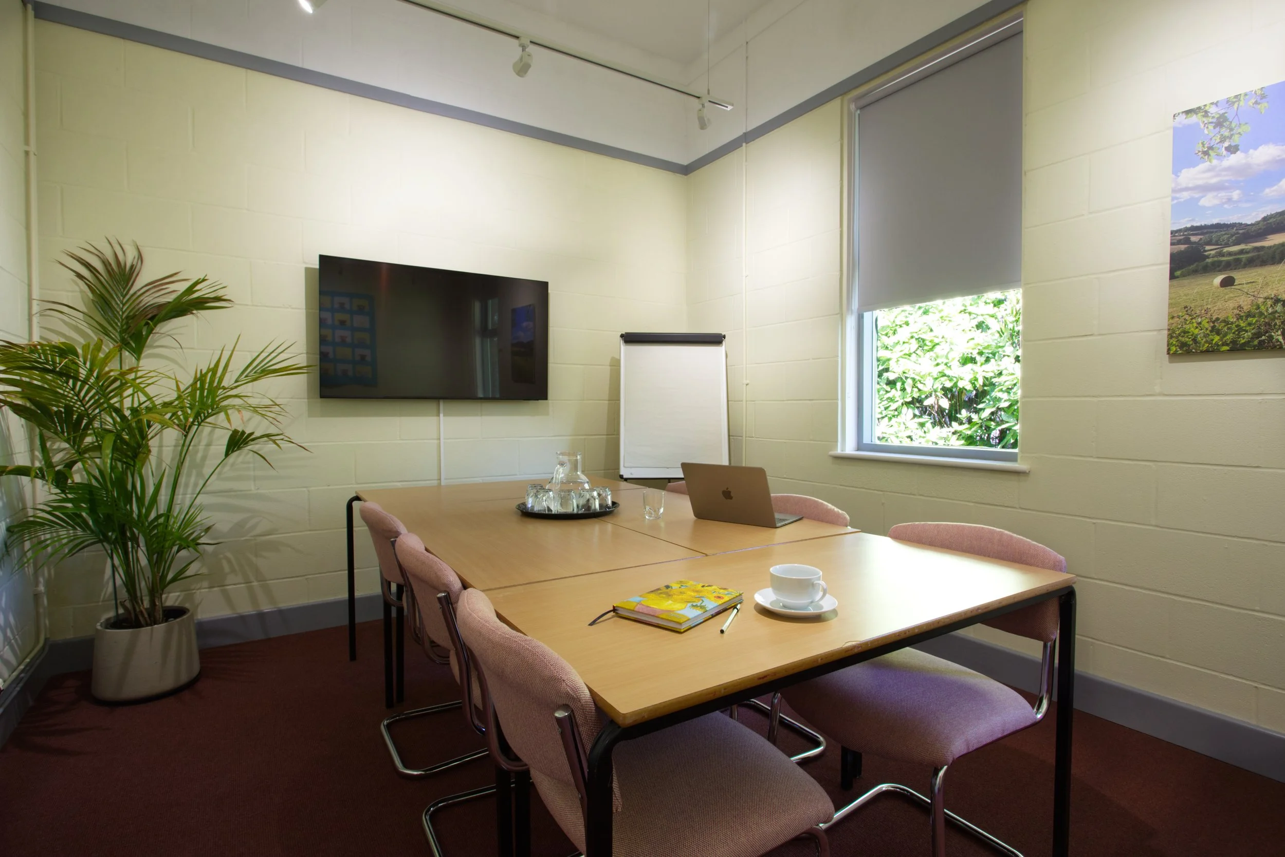 A meeting room with a wooden table surrounded by pink cushioned chairs, a large window with partially rolled blinds, a flat-screen TV on the wall, a whiteboard, a potted plant, and outdoor greenery visible through the window.