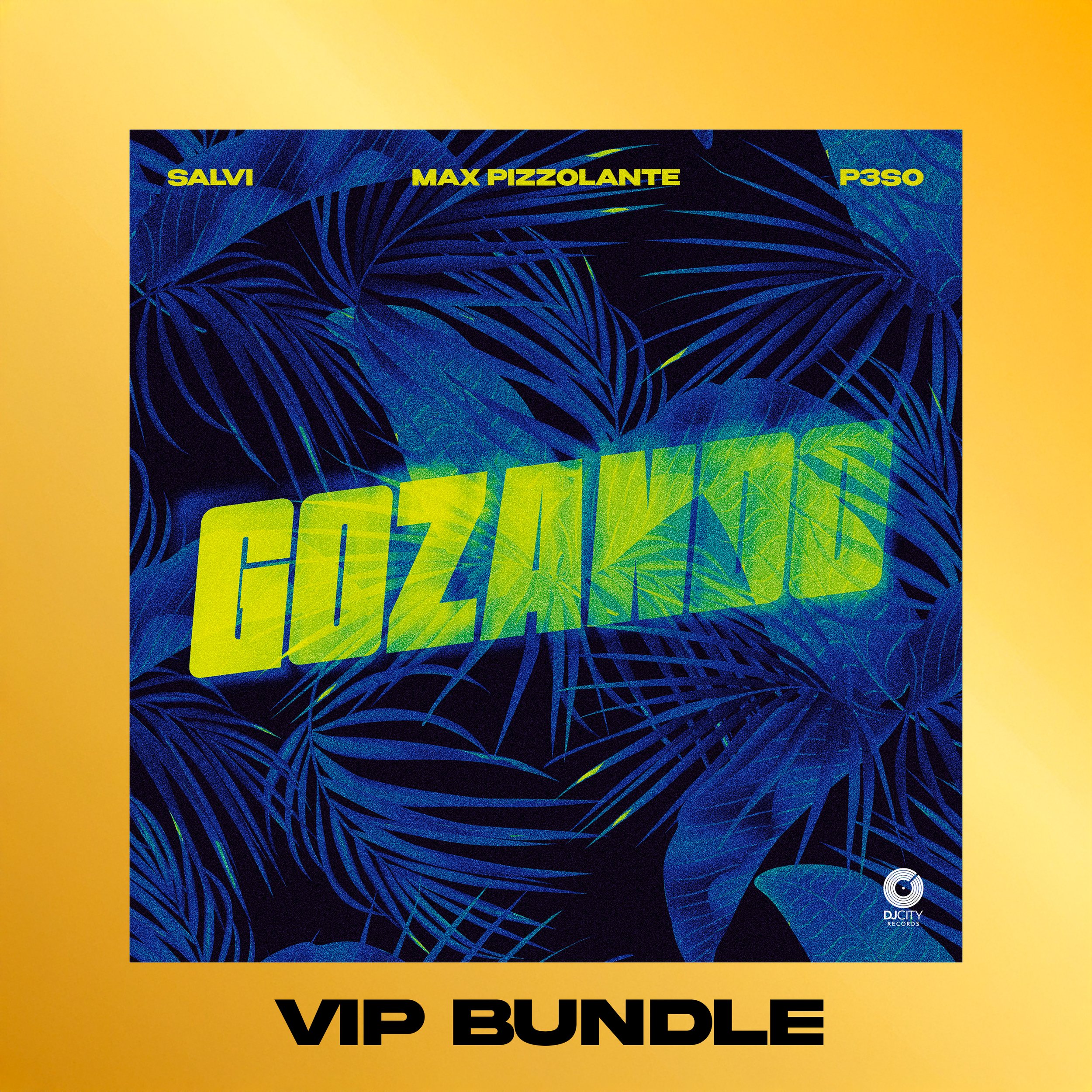 gozando VIP BUNDLE COVER ART.jpg