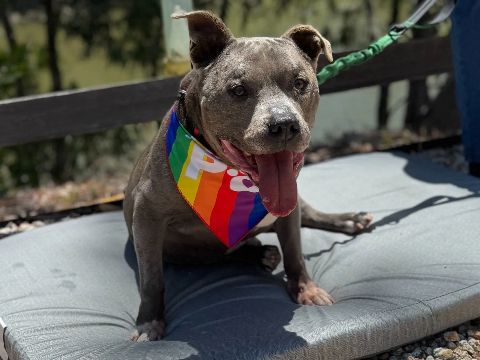 Eugene 10 years Out on a trial Adoption