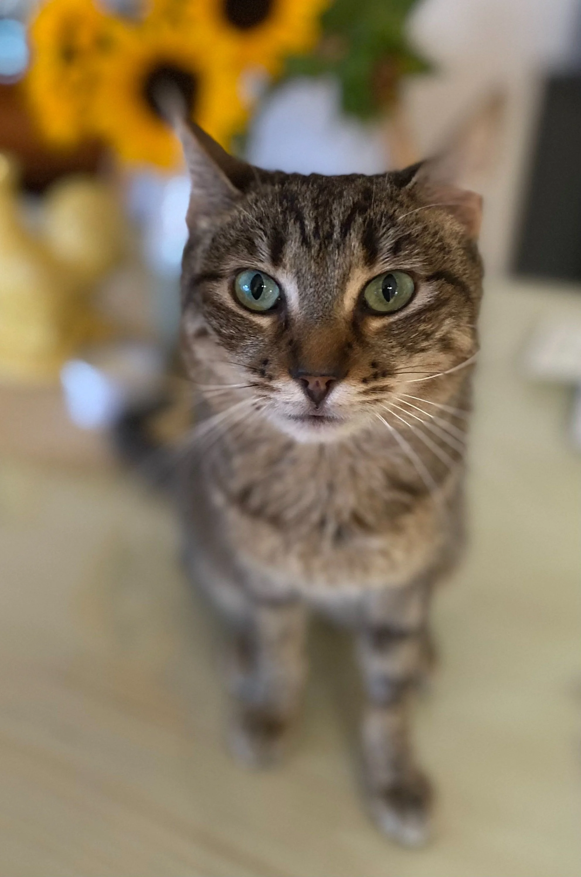 Mia 4 years