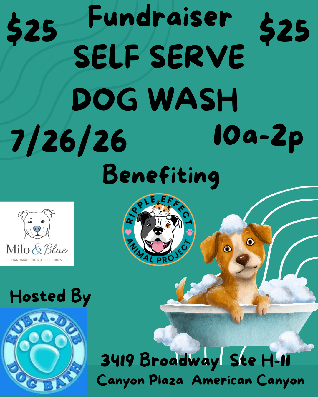 Self wash fundraiser
