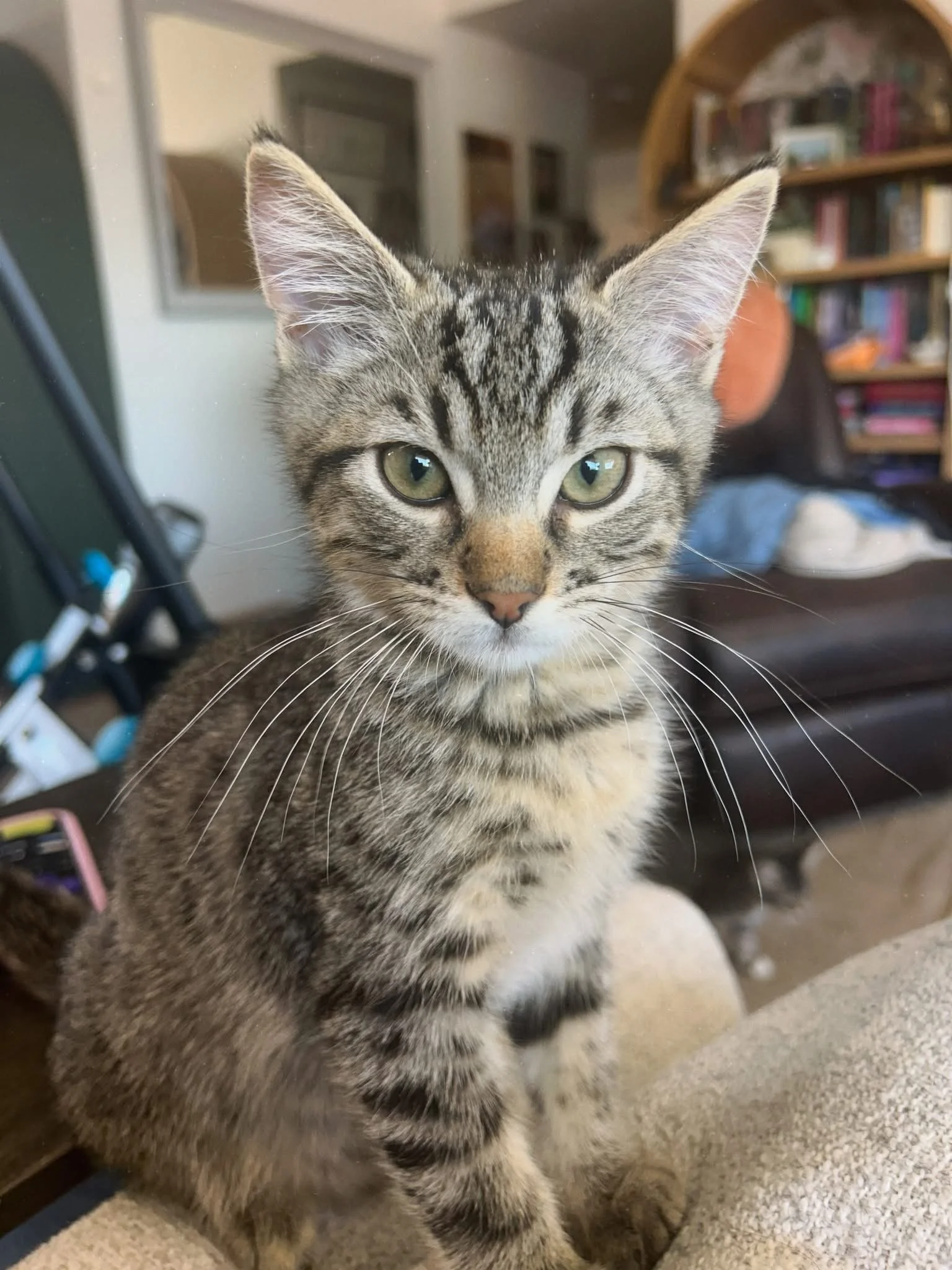 Homie 4 months
