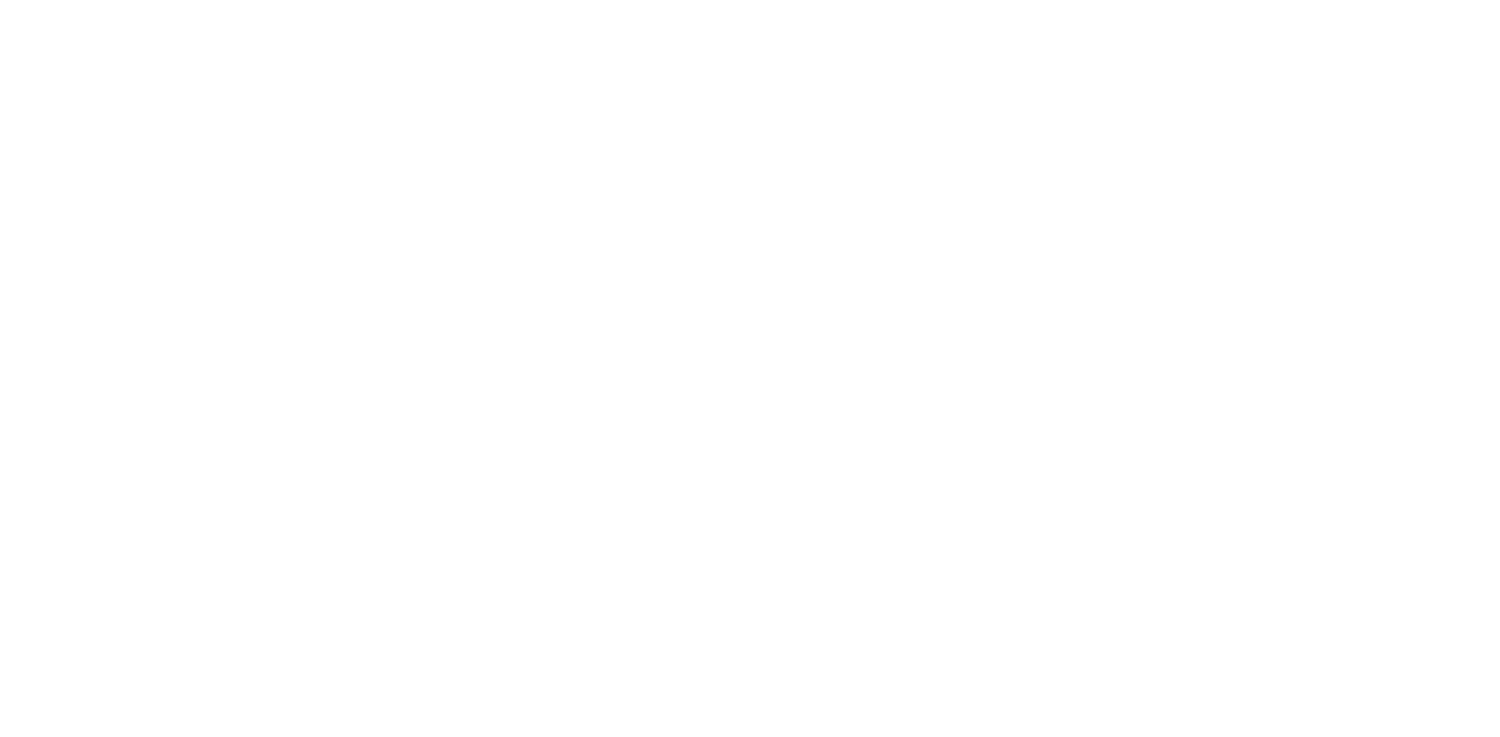 Everyday Holiday