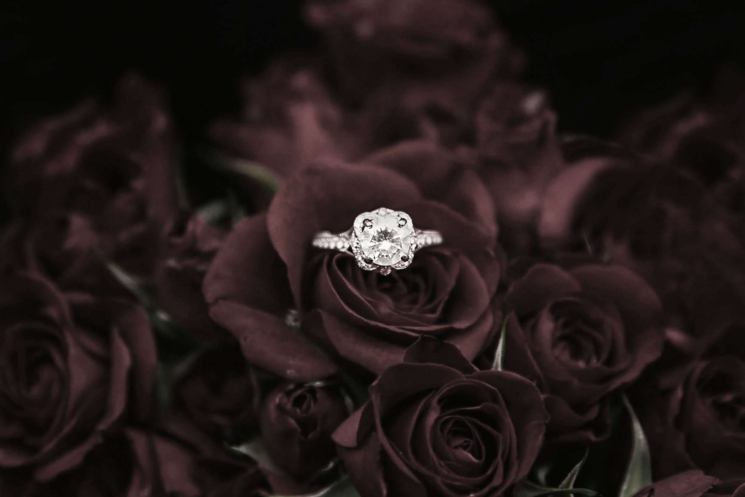 A diamond engagement ring placed on a dark purple rose surrounded by similar dark purple roses.