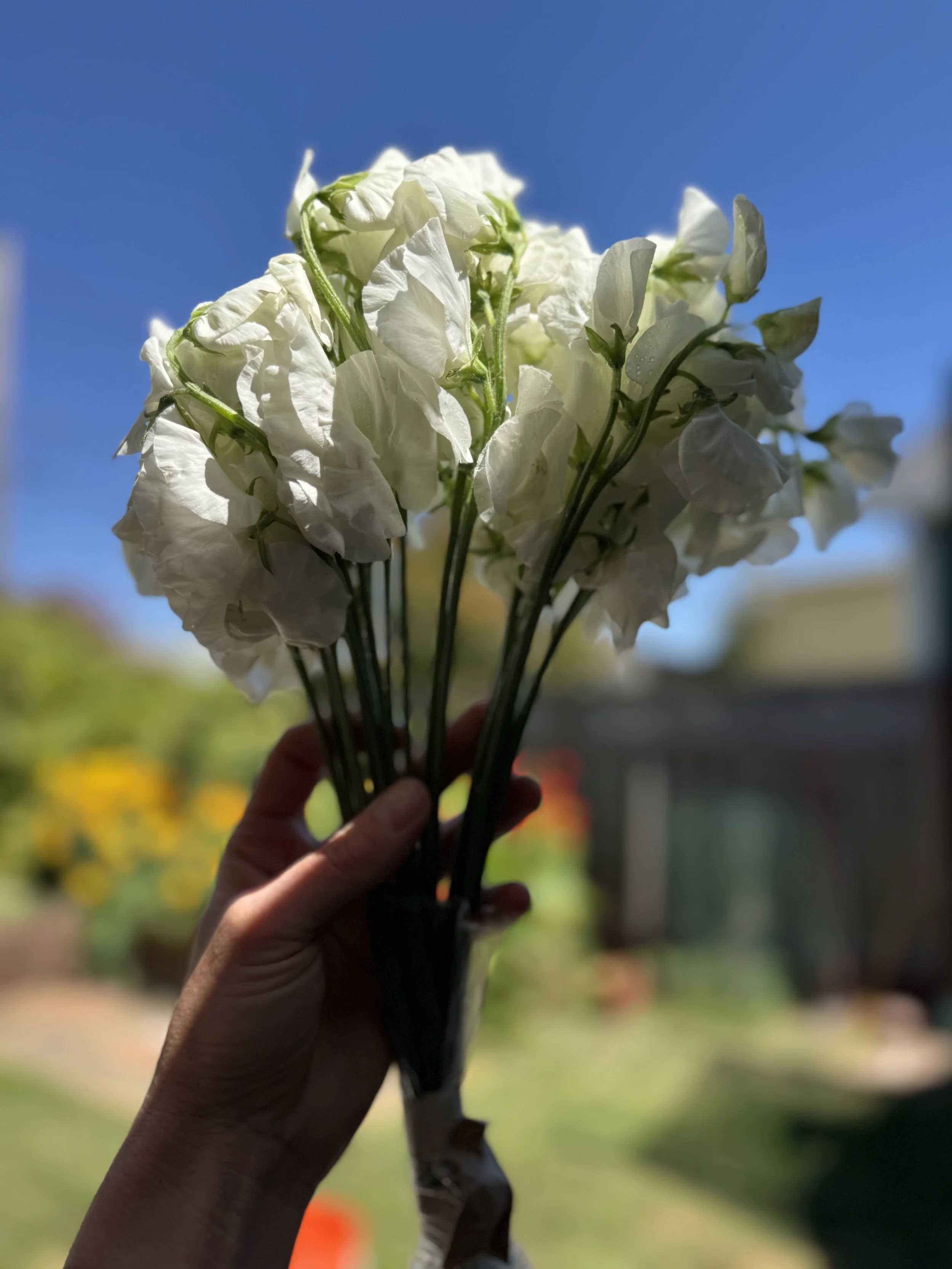 Floral Design Workshop in the Park (Open to the Public)
