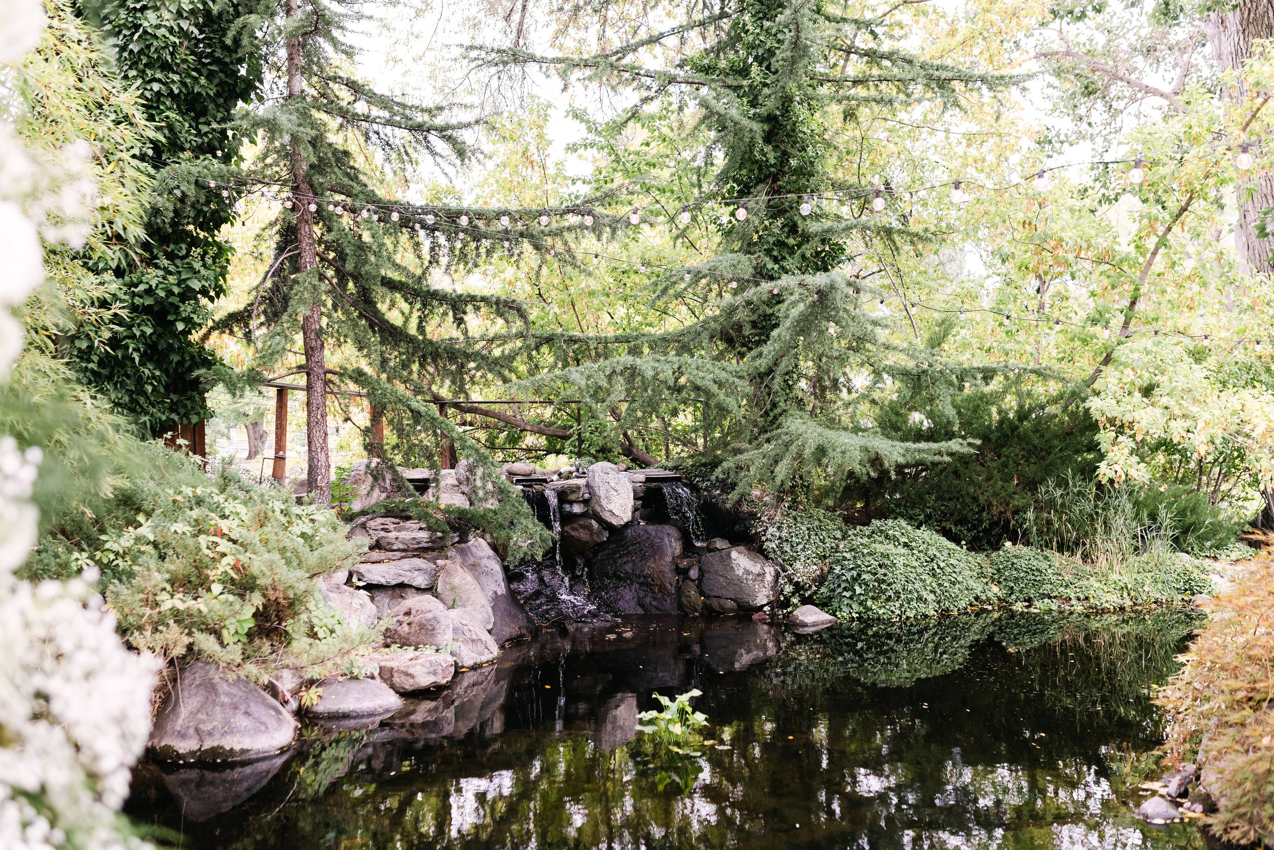 9.20 Sneak Peek-13.jpg