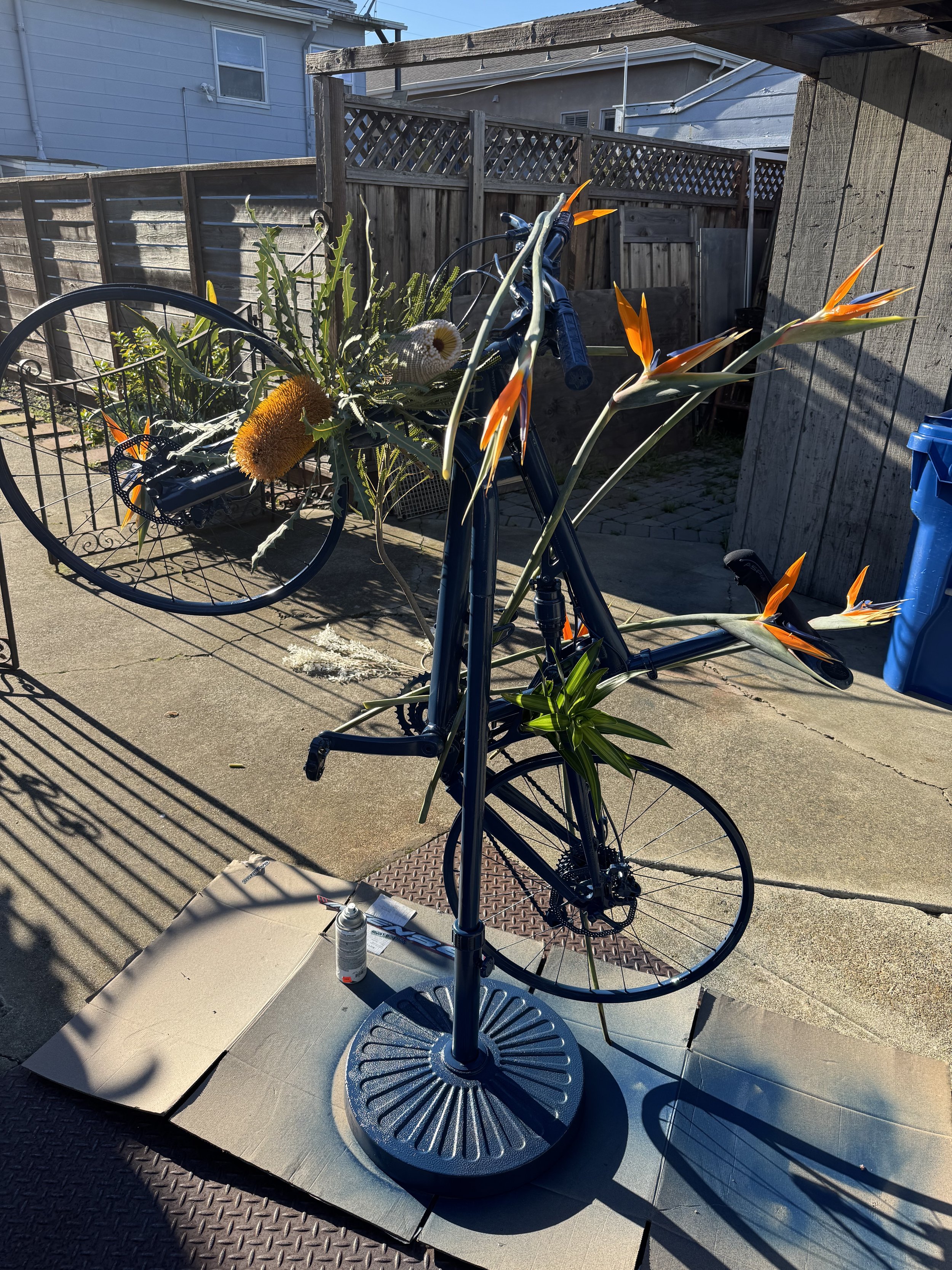 IMG_0036.jpeg