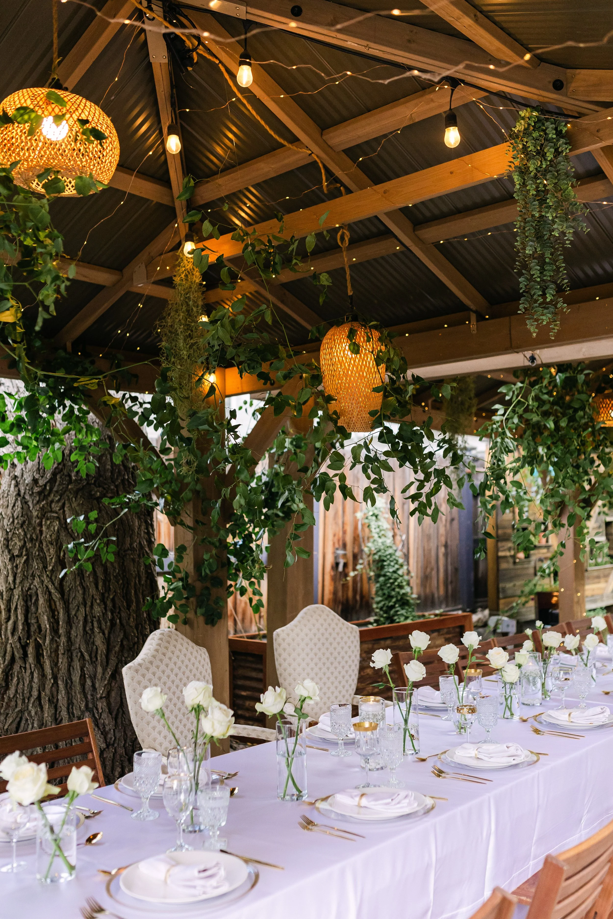 9.20 Sneak Peek-9.jpg