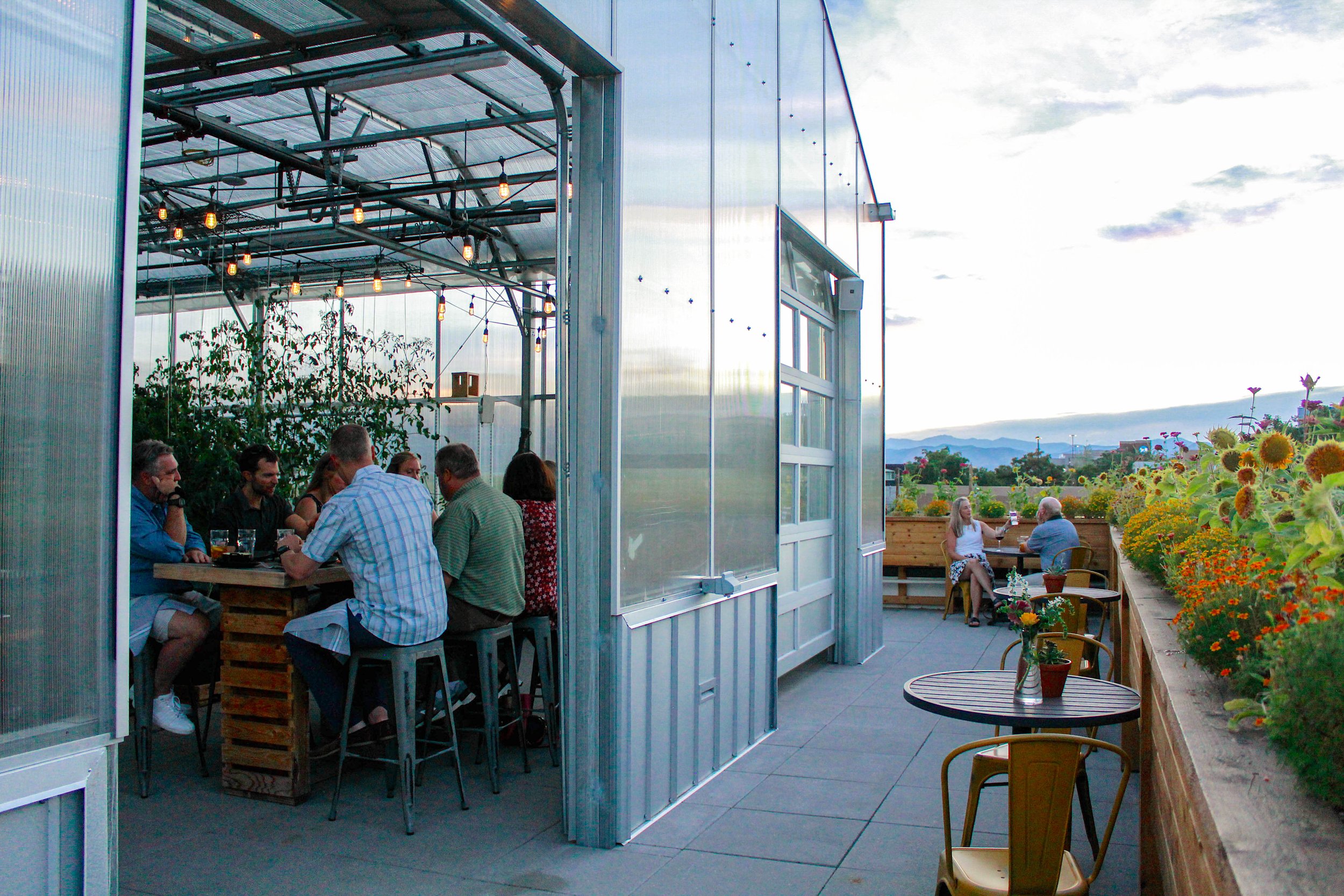 Grow&Gather_Rooftop-GH+Deck.jpg