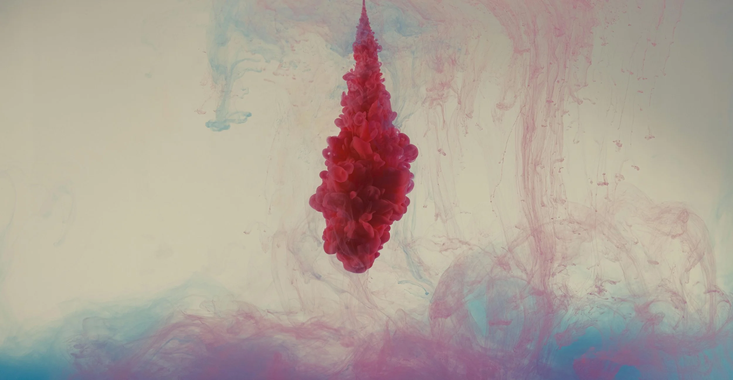 Menopause Nutrition: Eat to Build Muscle, Protect Bones, and Calm Hot Flashes