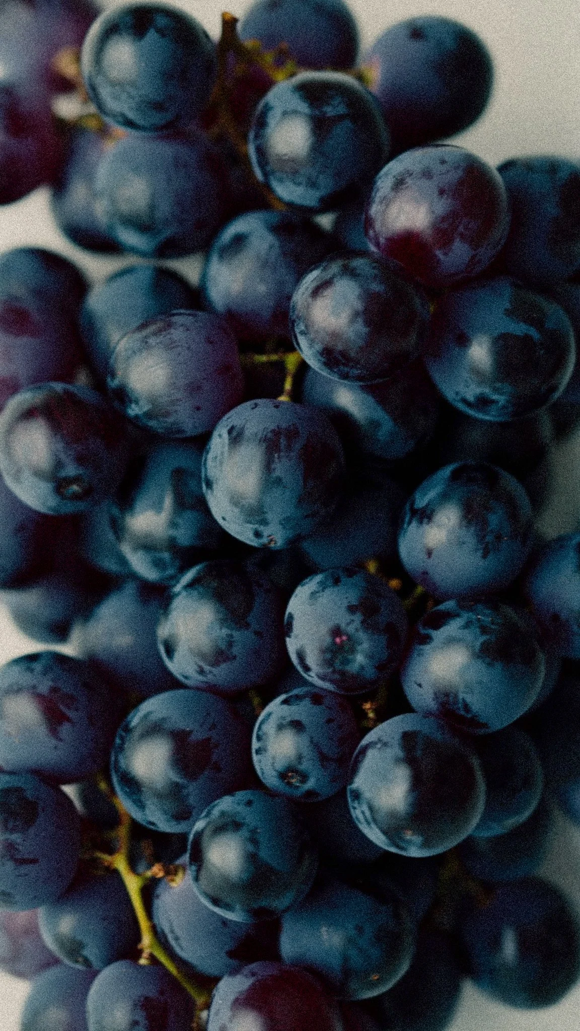 How to Lower LDL Cholesterol With Diet: A Practical Guide