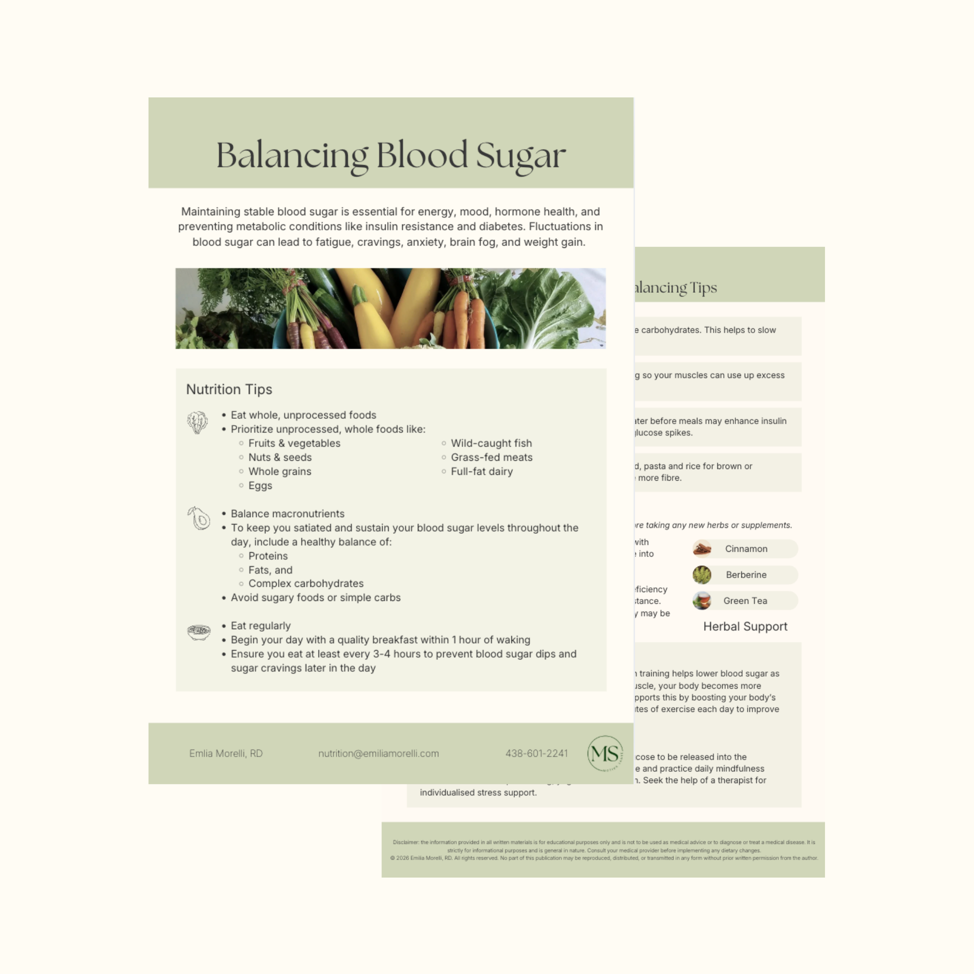 Balancing Blood Sugar THUMBNAIL - FREEBIE.png