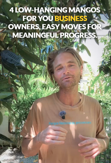 Low Hanging Fruit for Business Owners: 4 Easy Moves to Get Organized &amp; Boost Income