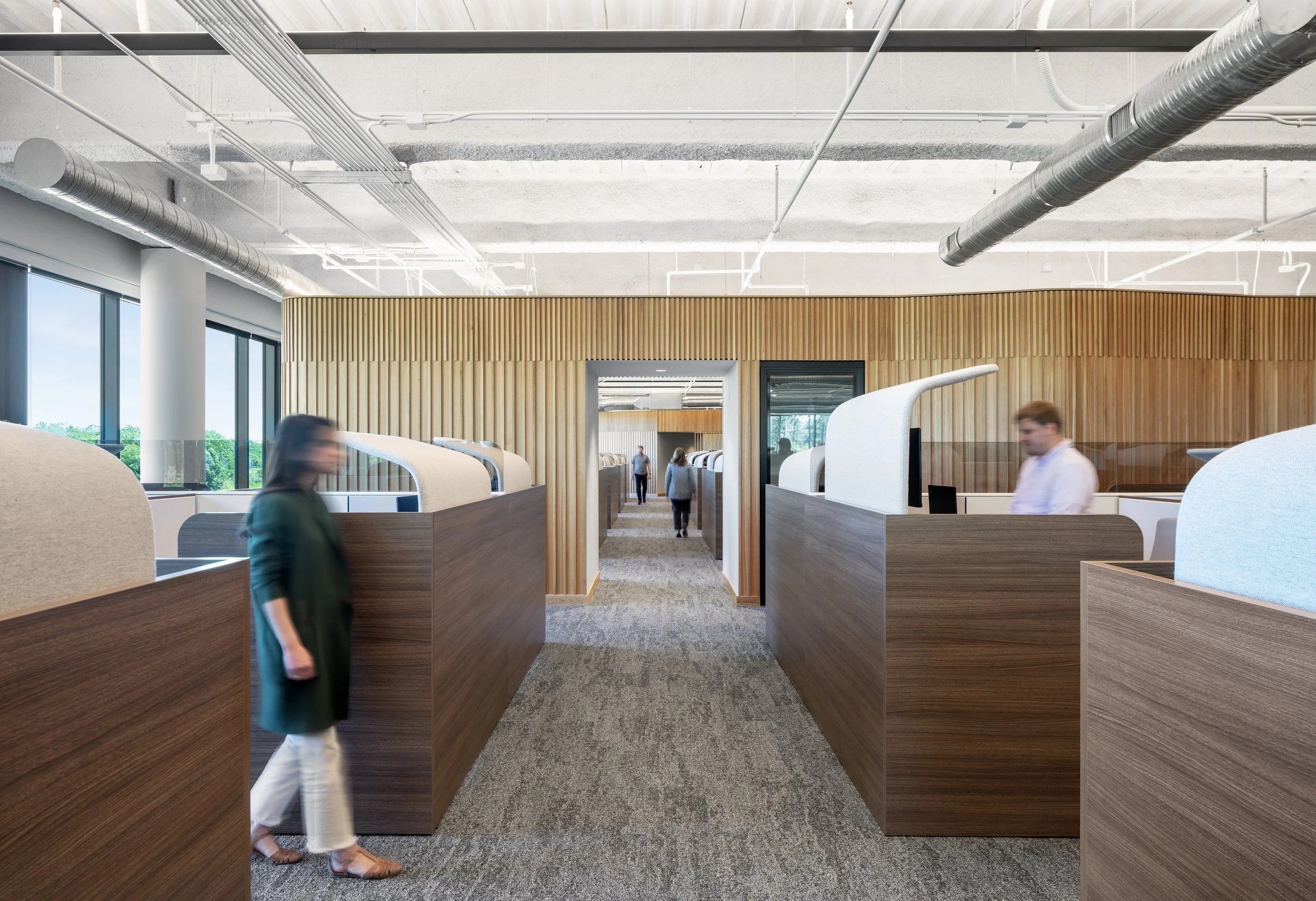 Bandwidth_IMG_1950 - Light vs. Light.jpg