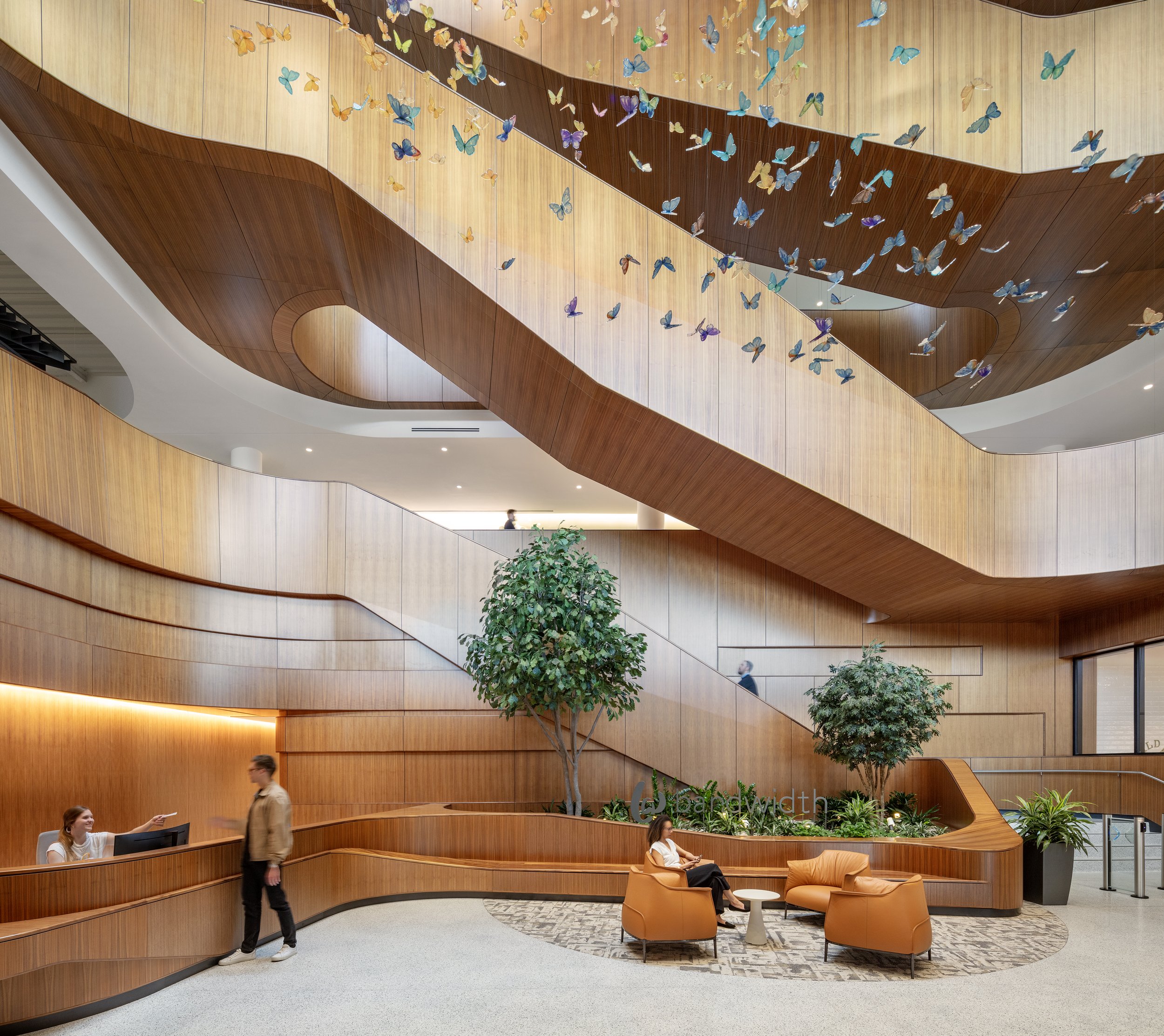 MB20240423_Bandwidth_IMG_3121 X- Light vs. Light.jpg