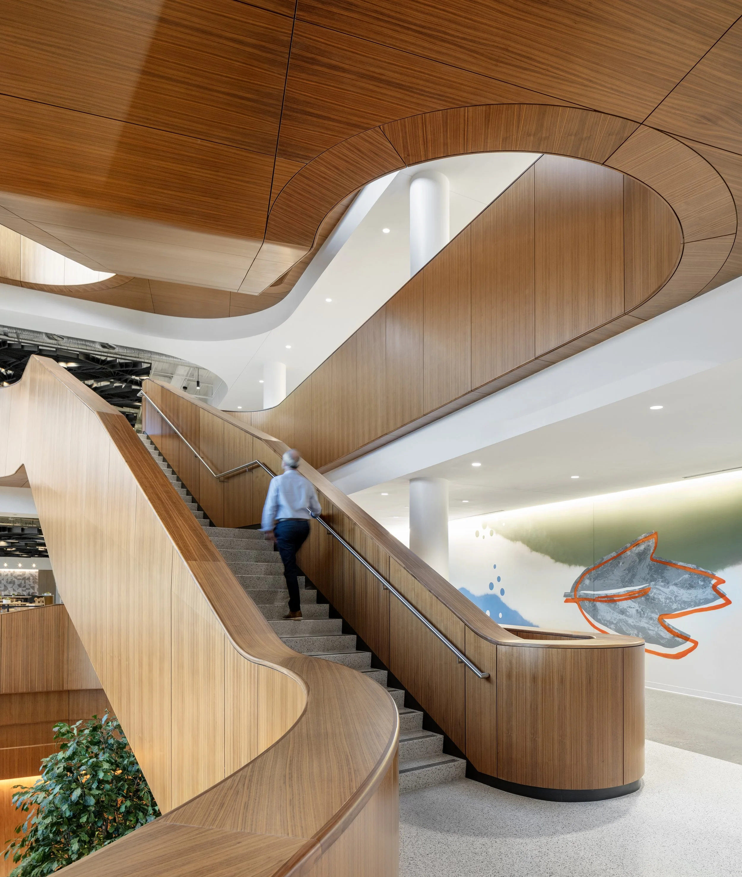 Bandwidth_IMG_3692 - Light vs. Light.jpg