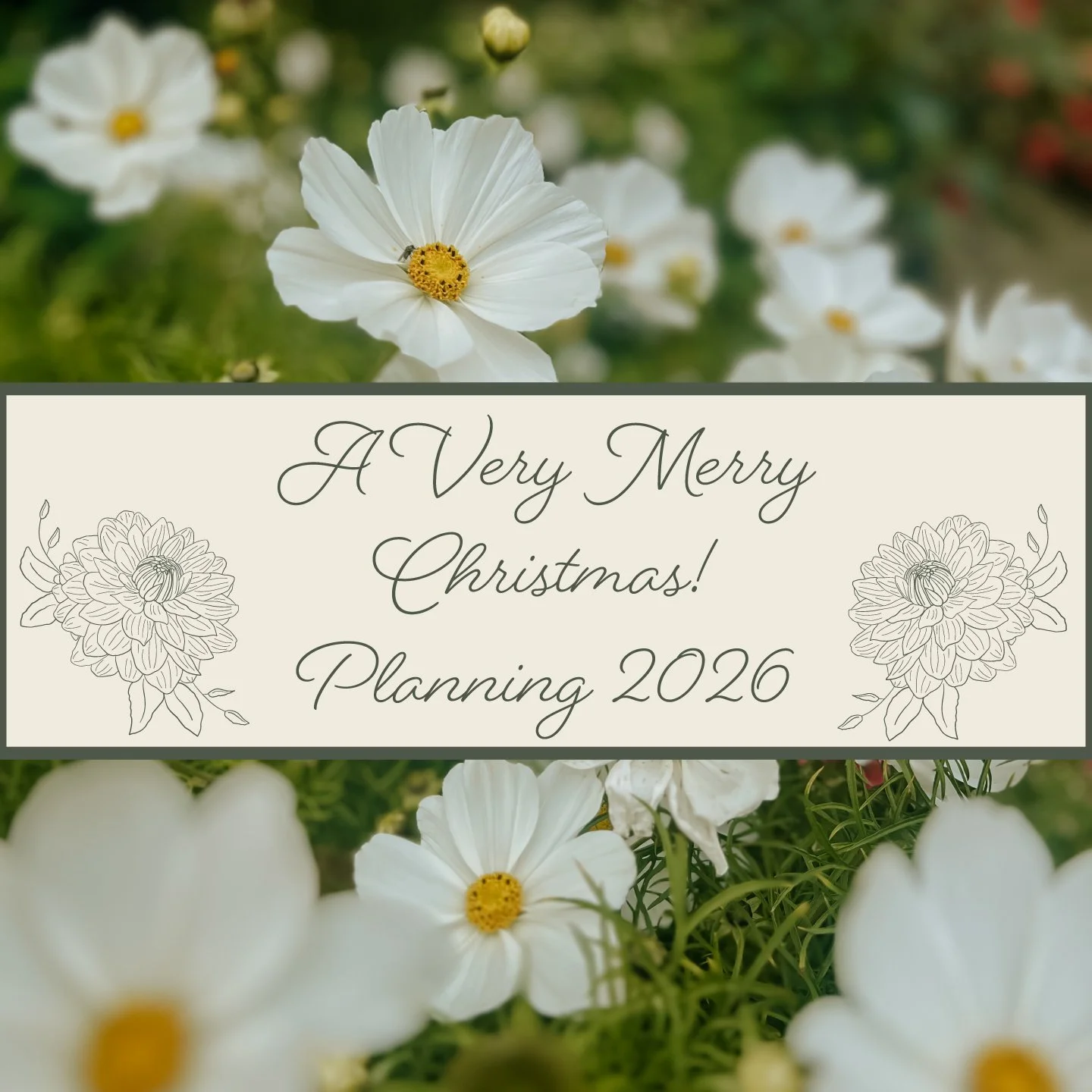 A Very Merry Christmas - 2026 Planning…