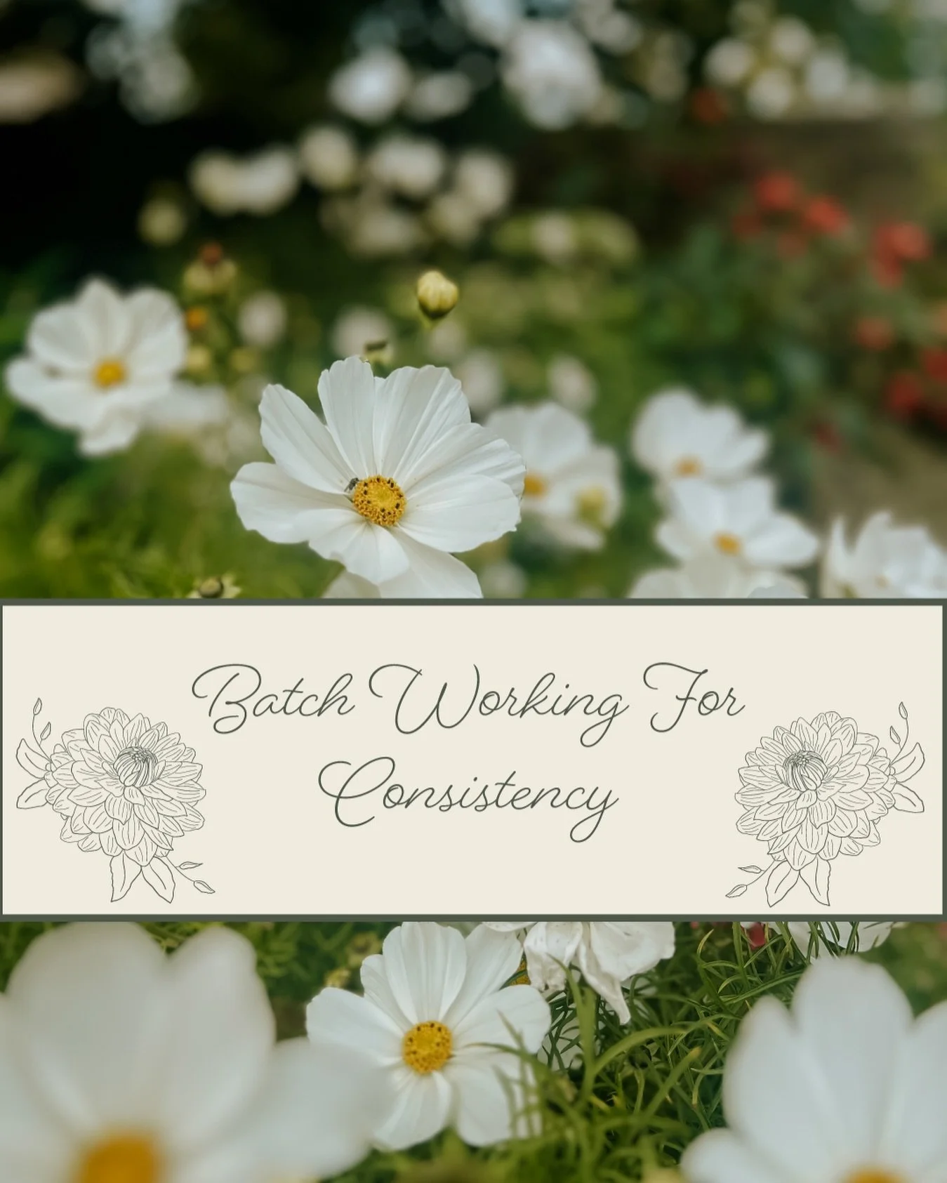 This is definitely something I am working on, batch working to make me more consistent. I like to do this with my journal posts and plan ahead for Instagram, especially when it comes to the layout.
.
I have to admit, working full time and being out o