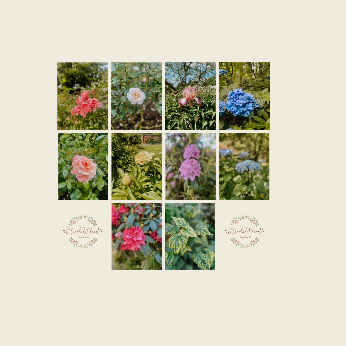 Summer Blooms Collection