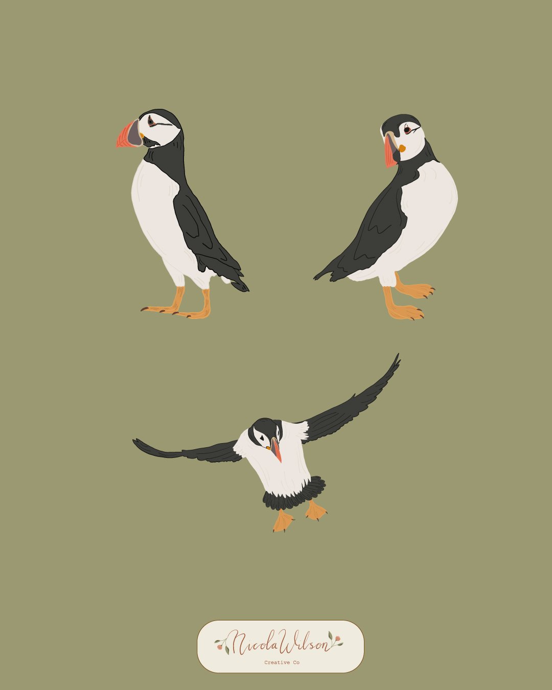puffins.jpg